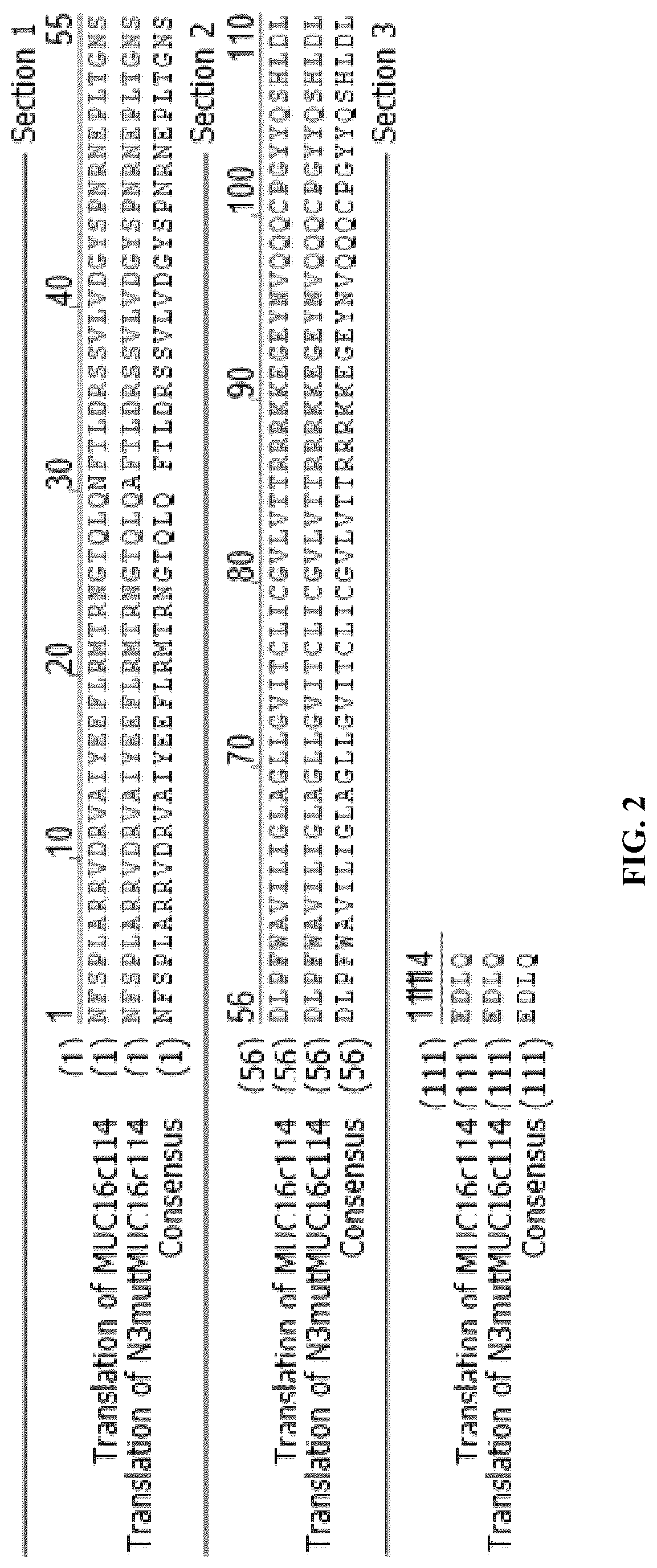 Patent US12617866 Figure 3 – Humanized antibodies to mucin-16 and methods of use thereof