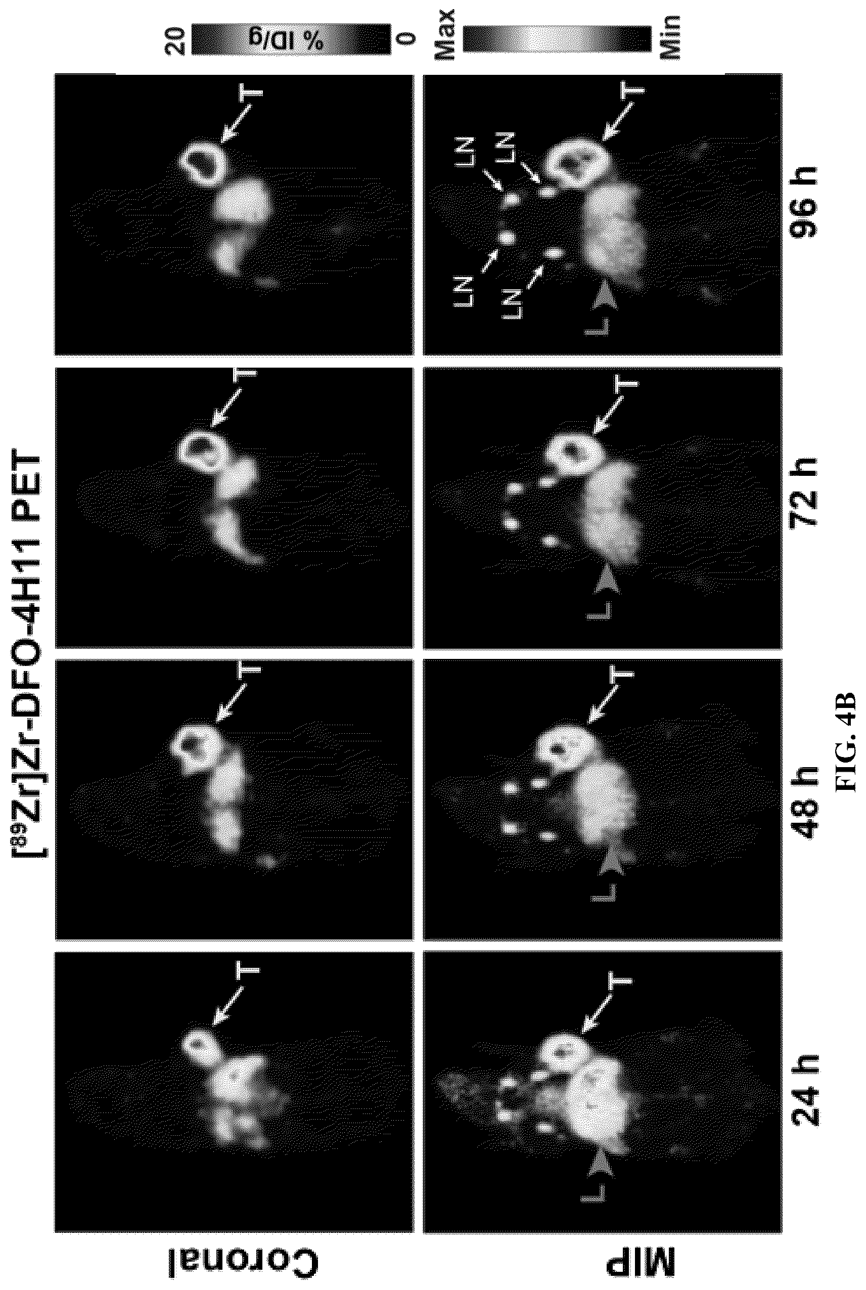 Patent US12617866 Figure 9 – Humanized antibodies to mucin-16 and methods of use thereof