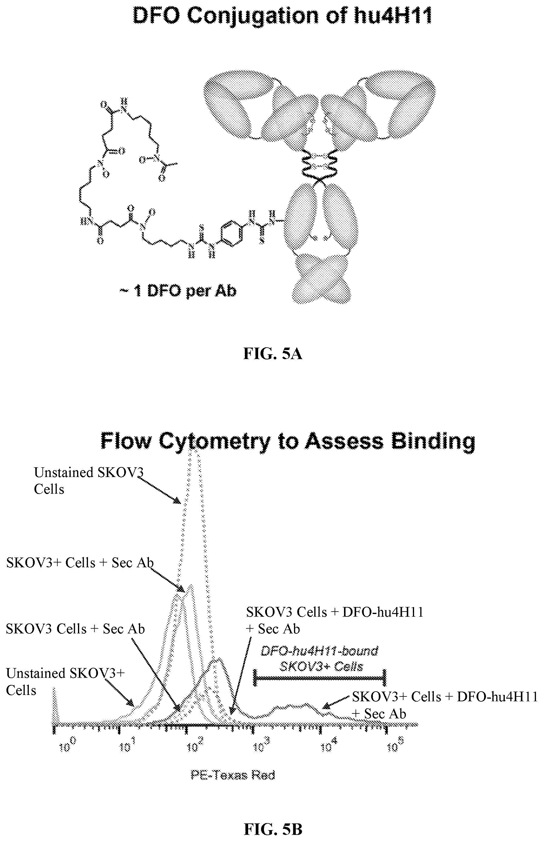 Patent US12617866 Figure 12 – Humanized antibodies to mucin-16 and methods of use thereof