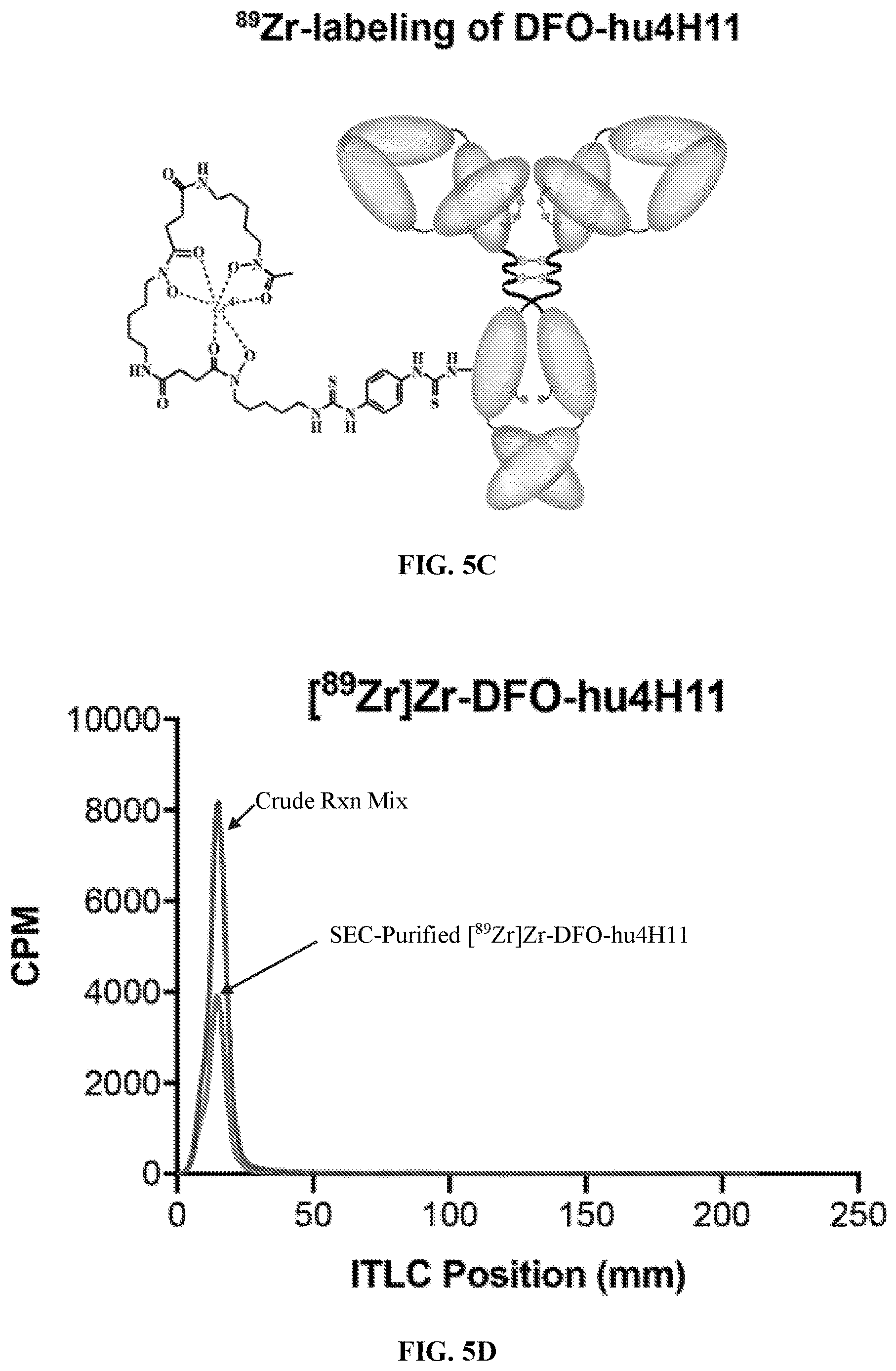 Patent US12617866 Figure 13 – Humanized antibodies to mucin-16 and methods of use thereof