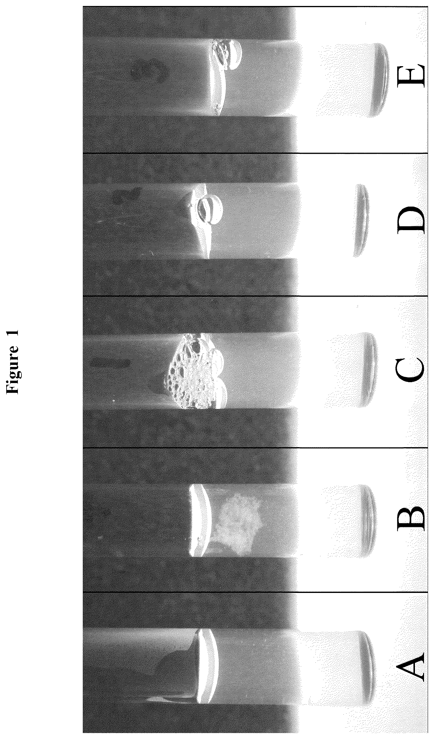 Patent US12617868 Figure 1 – Activation of (Na + +K + )-ATPase inhibits platelet aggregation and prevents thrombosis