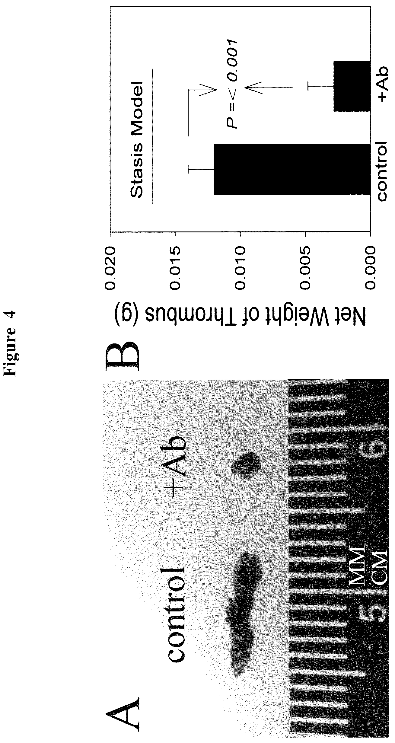 Patent US12617868 Figure 4 – Activation of (Na + +K + )-ATPase inhibits platelet aggregation and prevents thrombosis