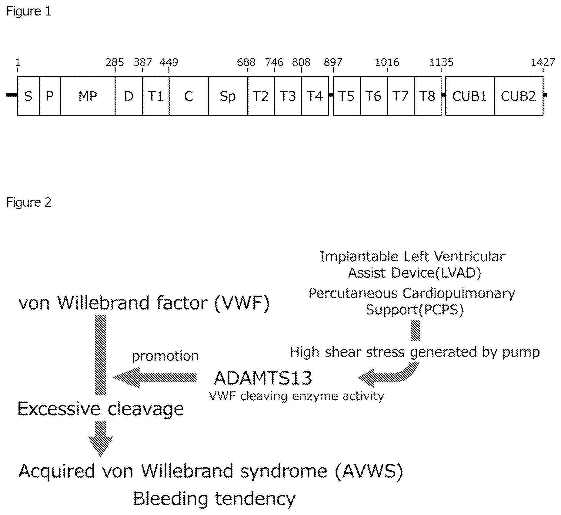 Patent US12617869 Figure 1 – Anti-ADAMTS13 antibody and use thereof