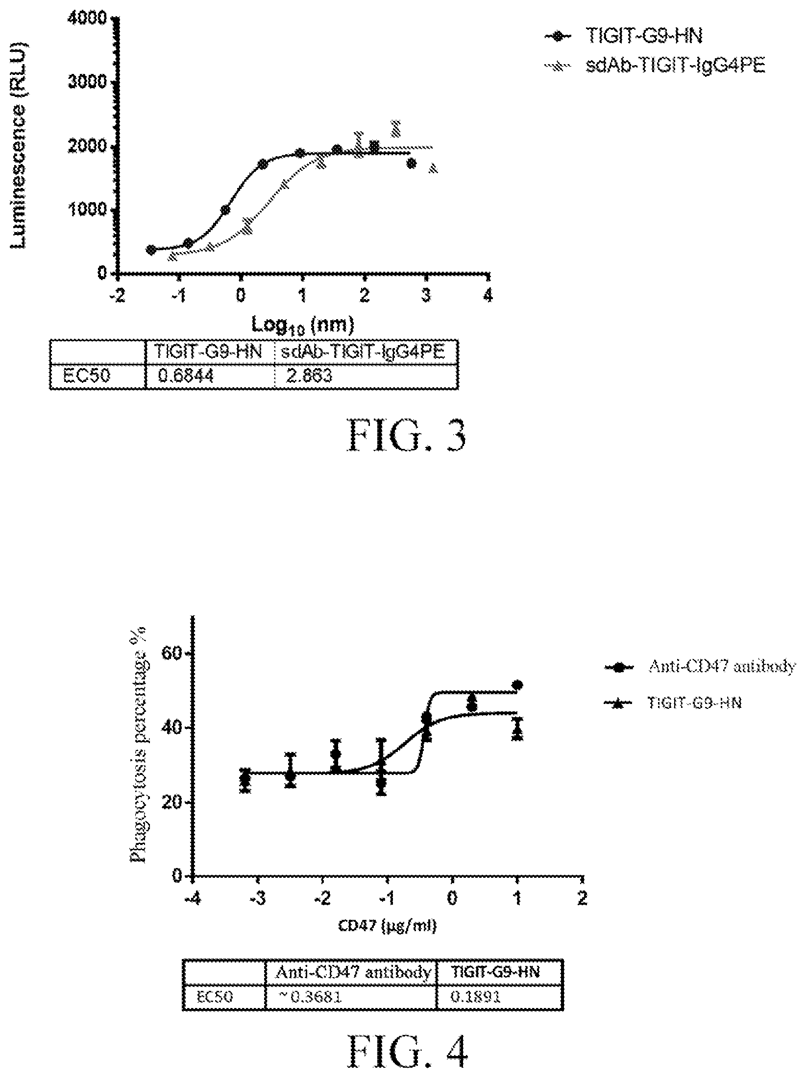 Patent US12617871 Figure 2 – Anti-CD47/anti-TIGIT bispecific antibody, preparation method therefor and application thereof