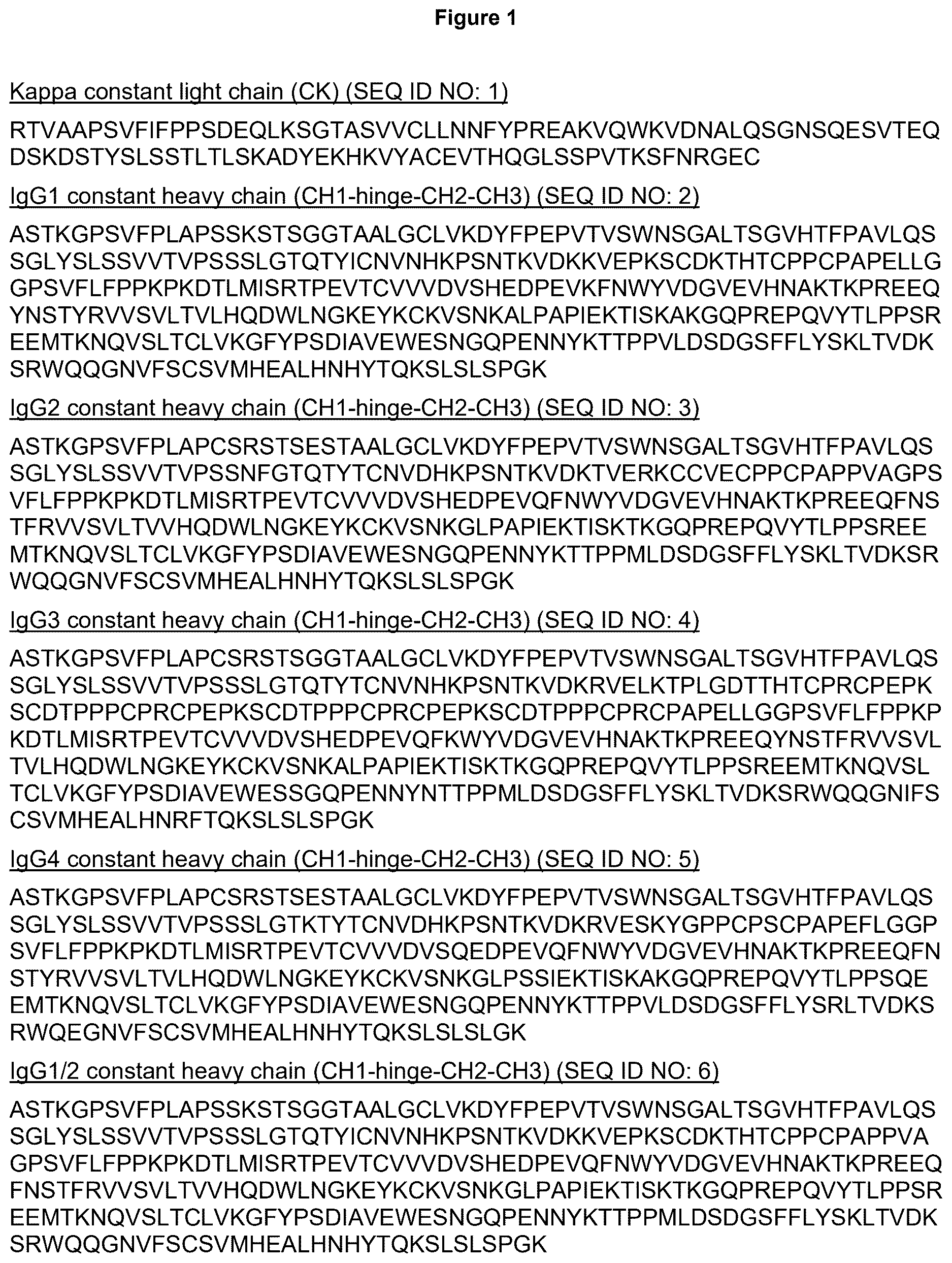 Patent US12617872 Figure 1 – Heterodimeric human IgG1 polypeptides with isoelectric point modifications