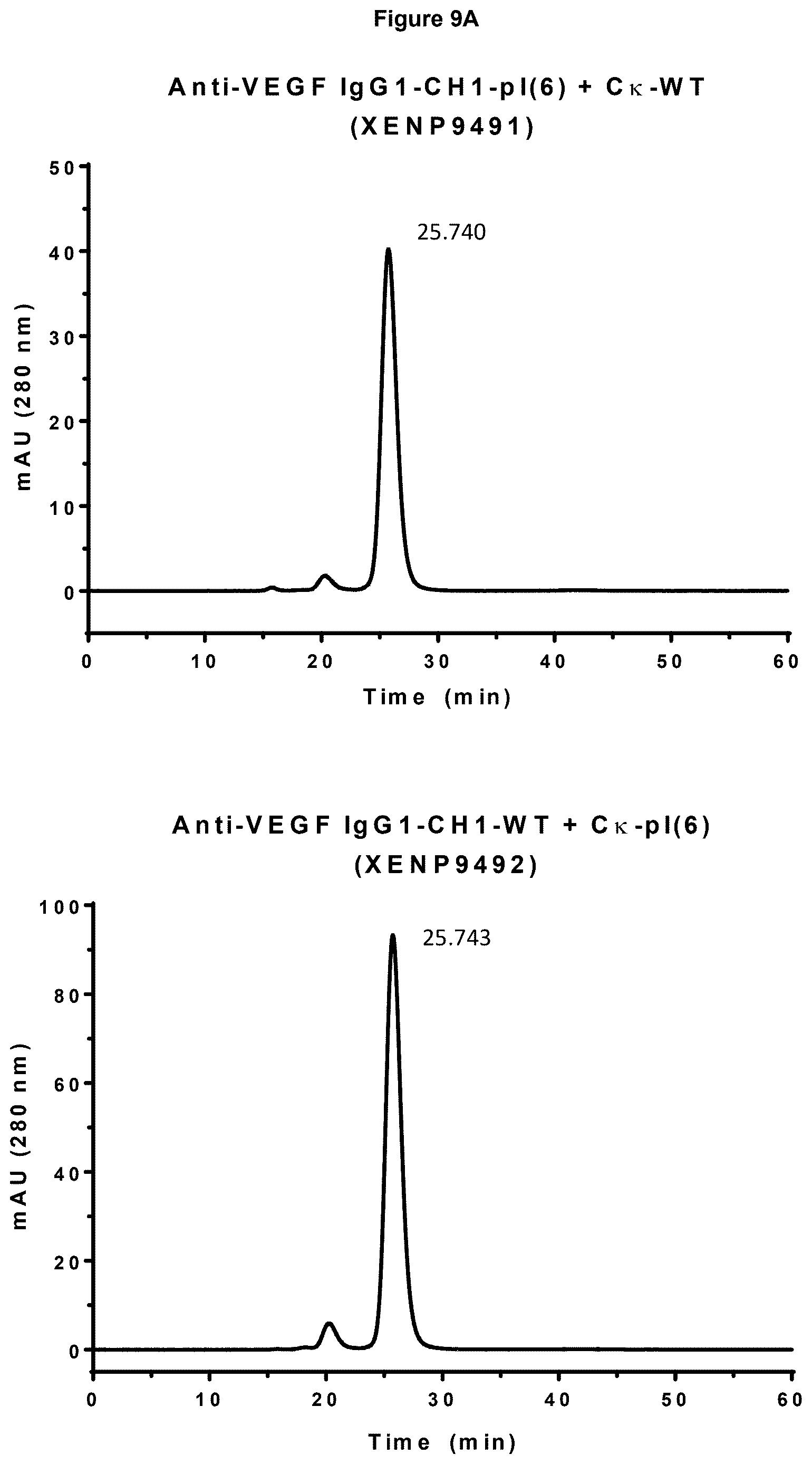 Patent US12617872 Figure 13 – Heterodimeric human IgG1 polypeptides with isoelectric point modifications