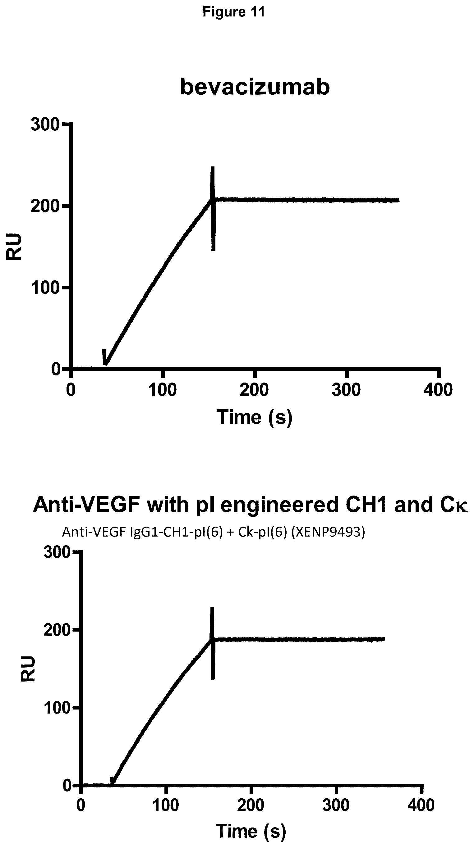 Patent US12617872 Figure 16 – Heterodimeric human IgG1 polypeptides with isoelectric point modifications