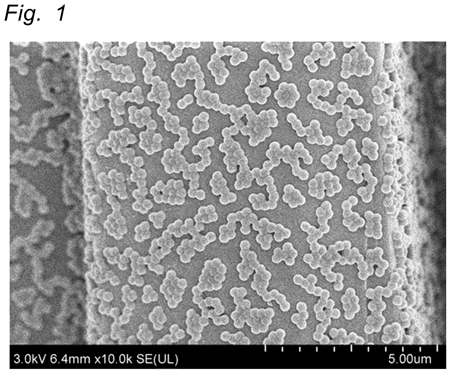 Patent US12617884 Figure 1 – Organic fine particle