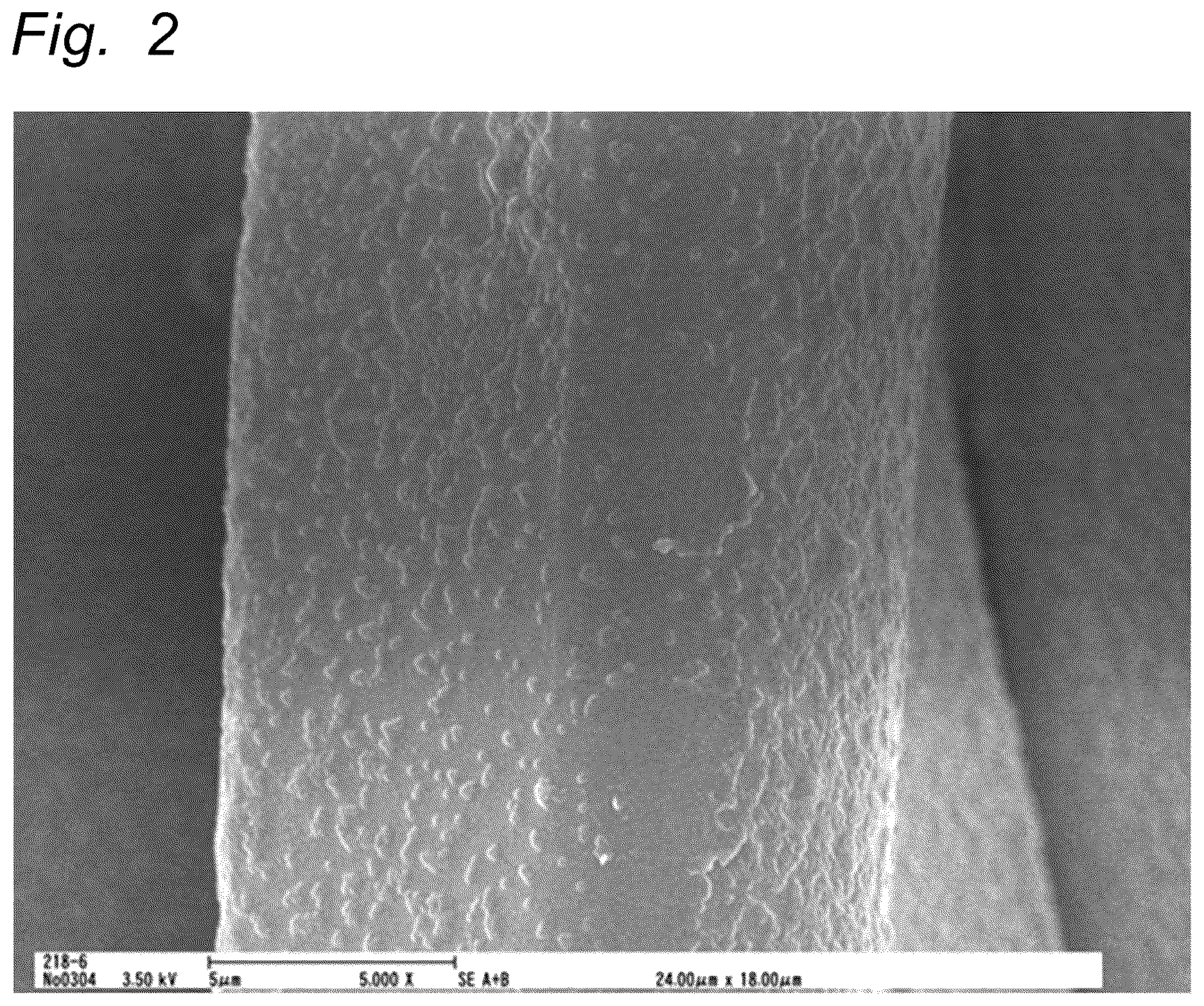 Patent US12617884 Figure 2 – Organic fine particle