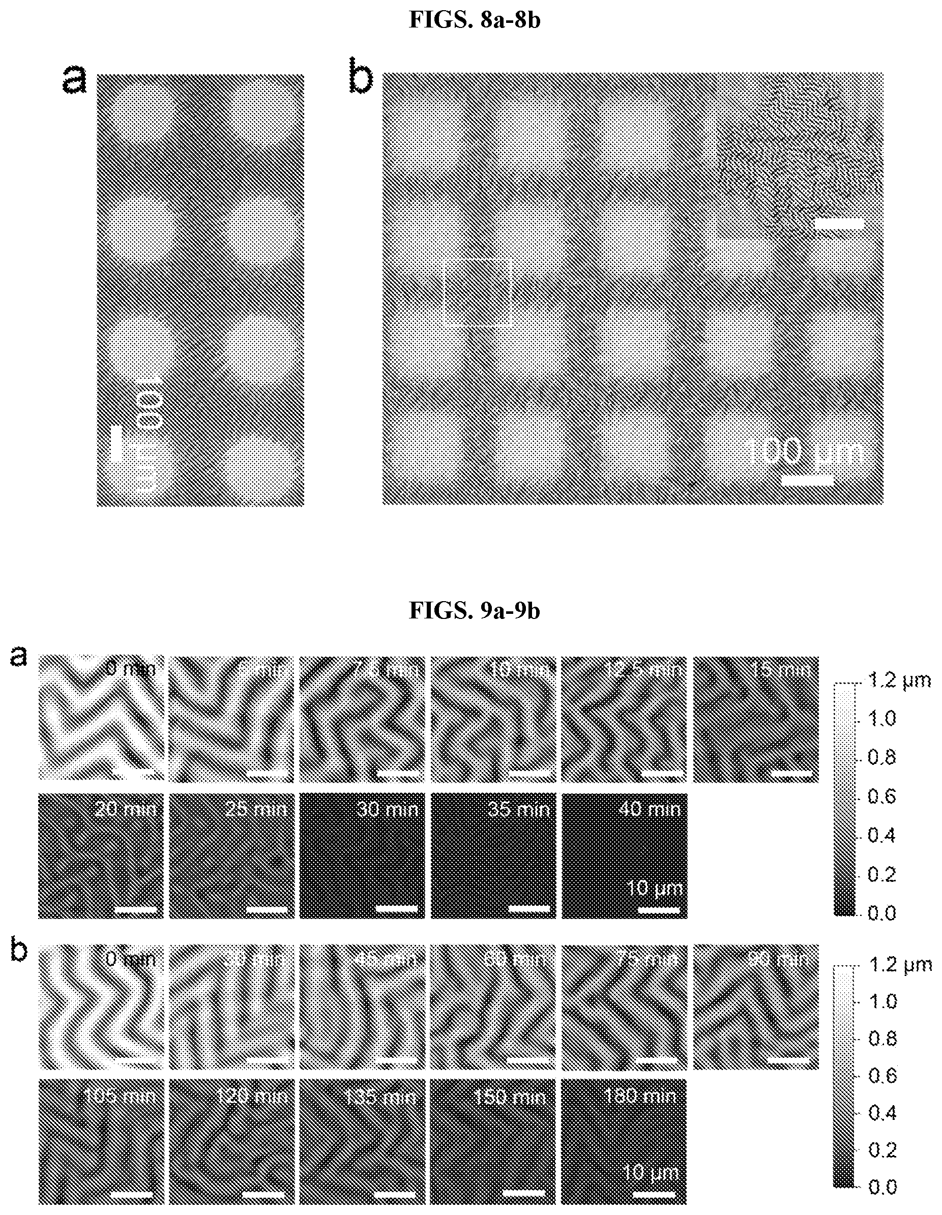 Patent US12617913 Figure 6 – Reversible wrinkle patterns and methods of making and using the same