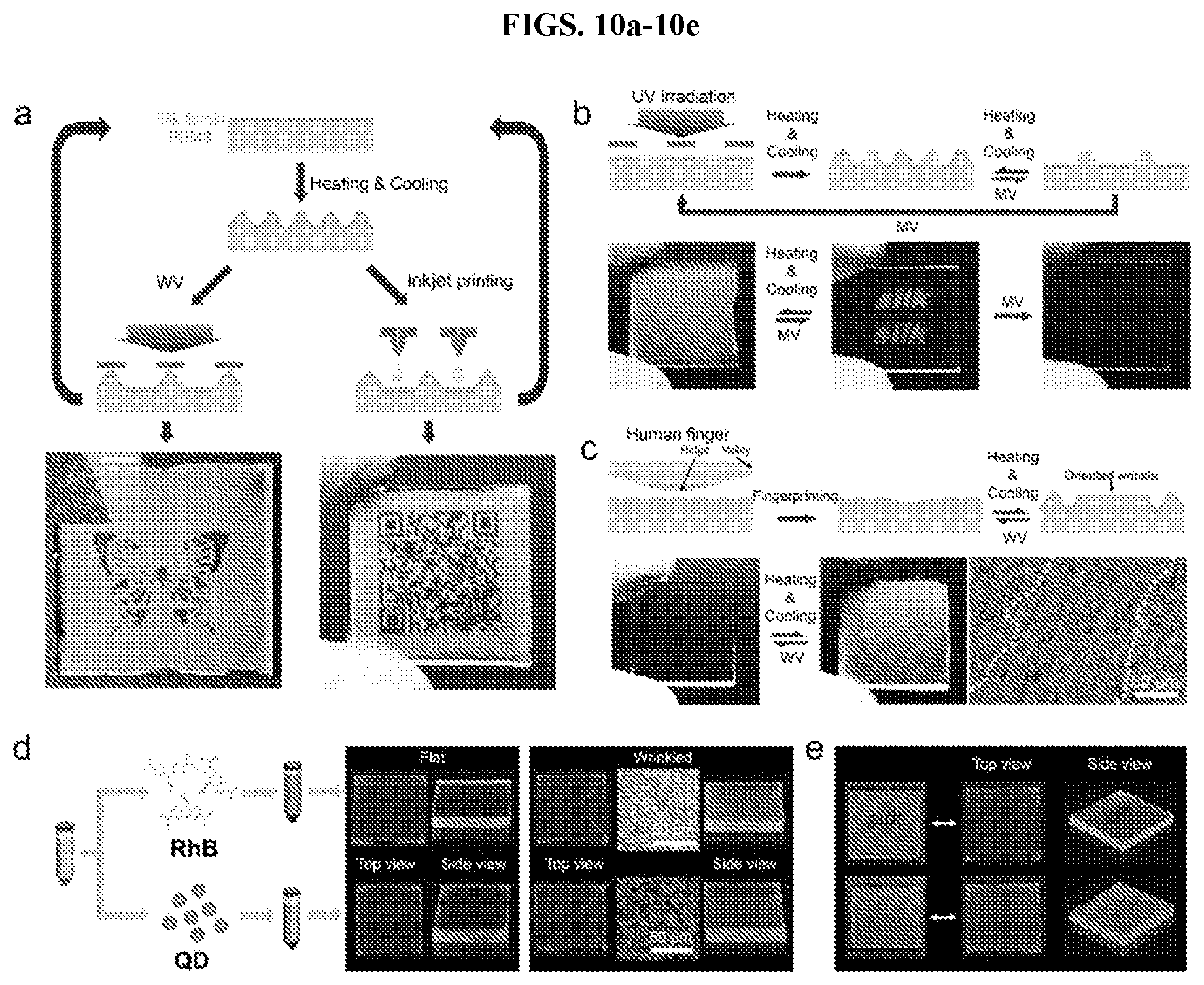 Patent US12617913 Figure 7 – Reversible wrinkle patterns and methods of making and using the same