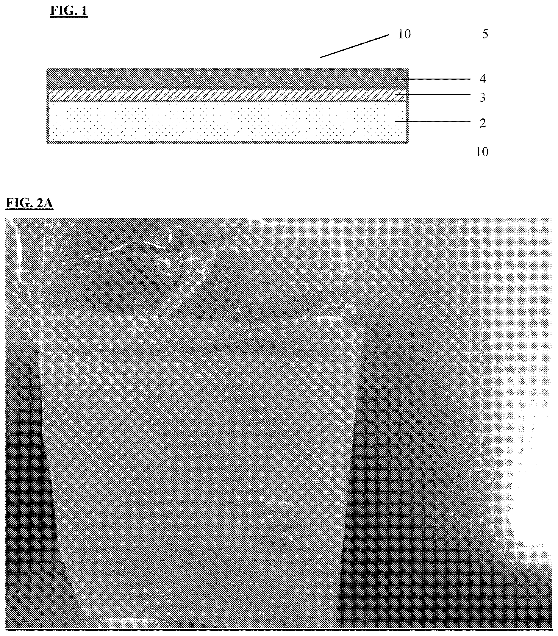 Patent US12617914 Figure 1 – Composite polymeric film