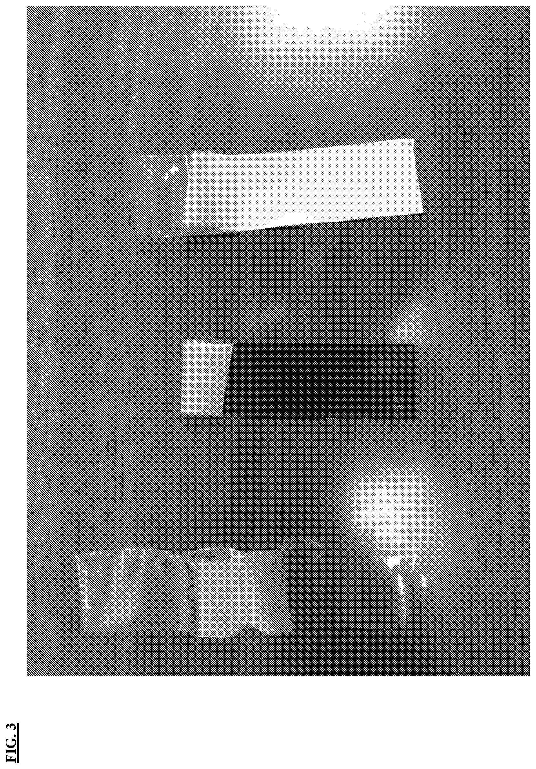 Patent US12617914 Figure 3 – Composite polymeric film