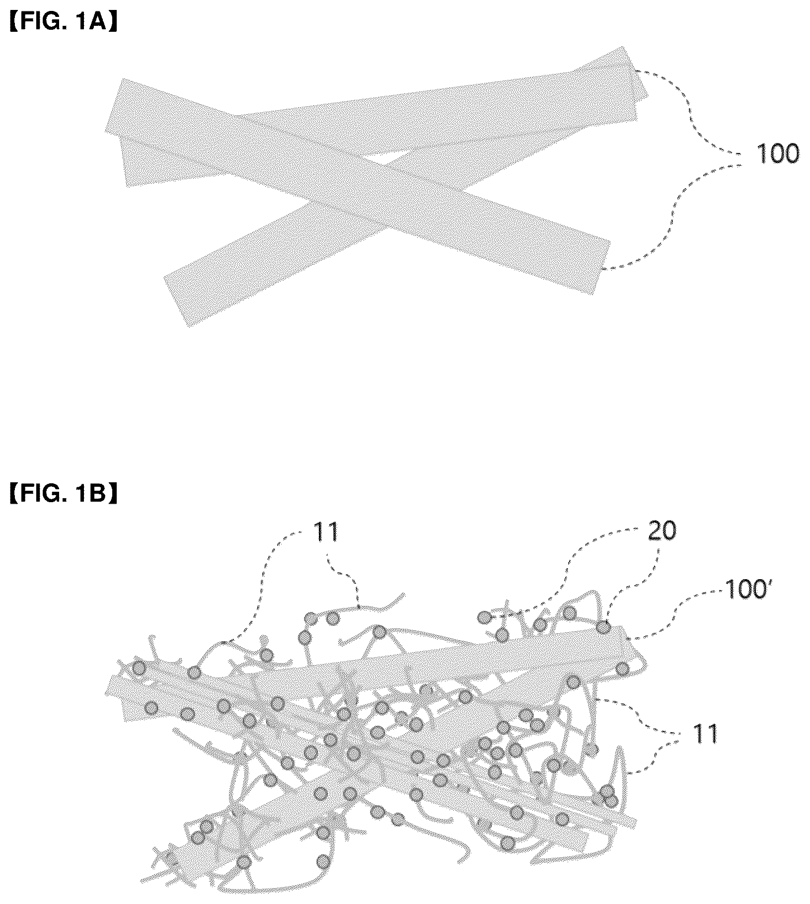 Patent US12617938 Figure 1 – Fibrillated fiber and method for preparing the same