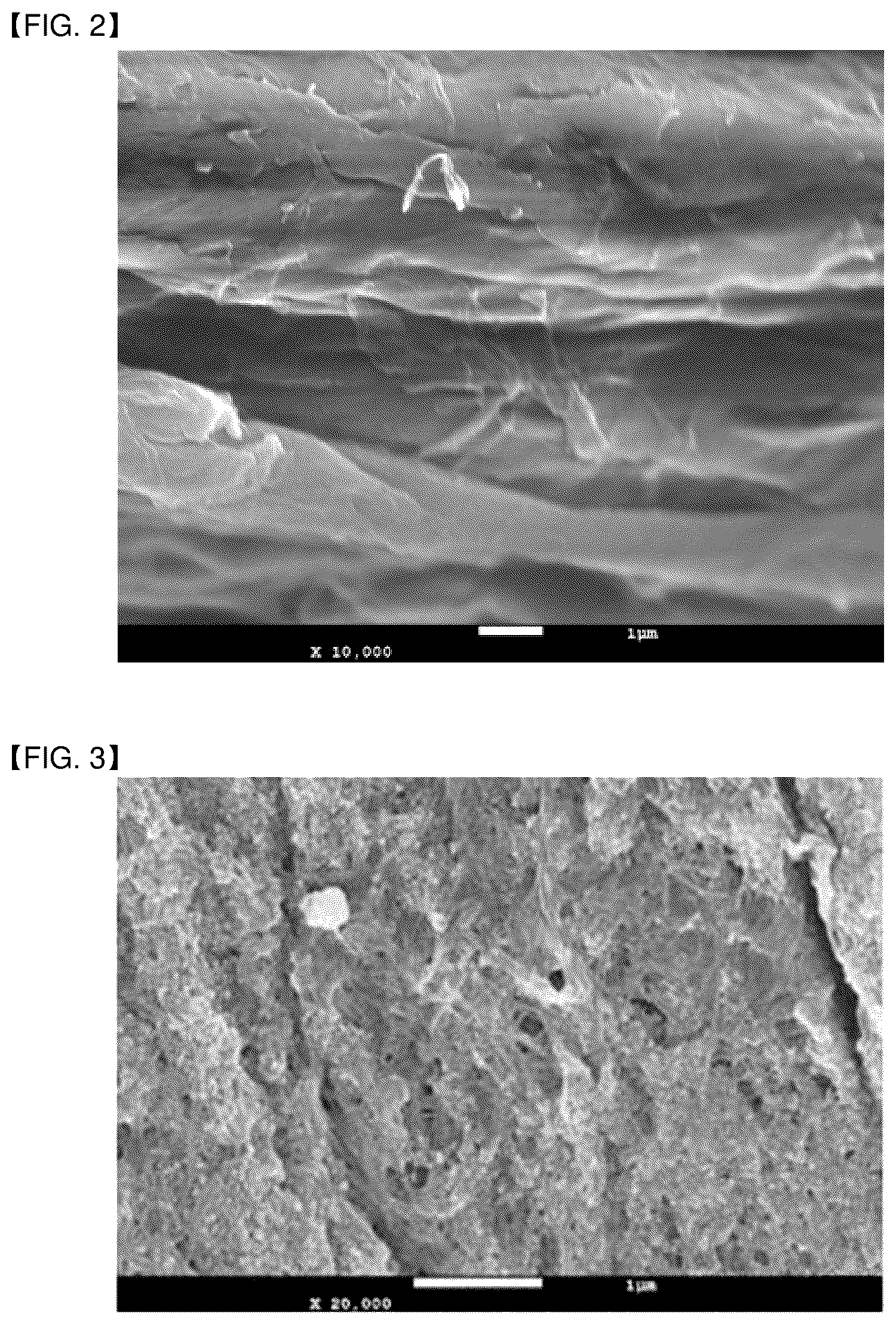 Patent US12617938 Figure 2 – Fibrillated fiber and method for preparing the same