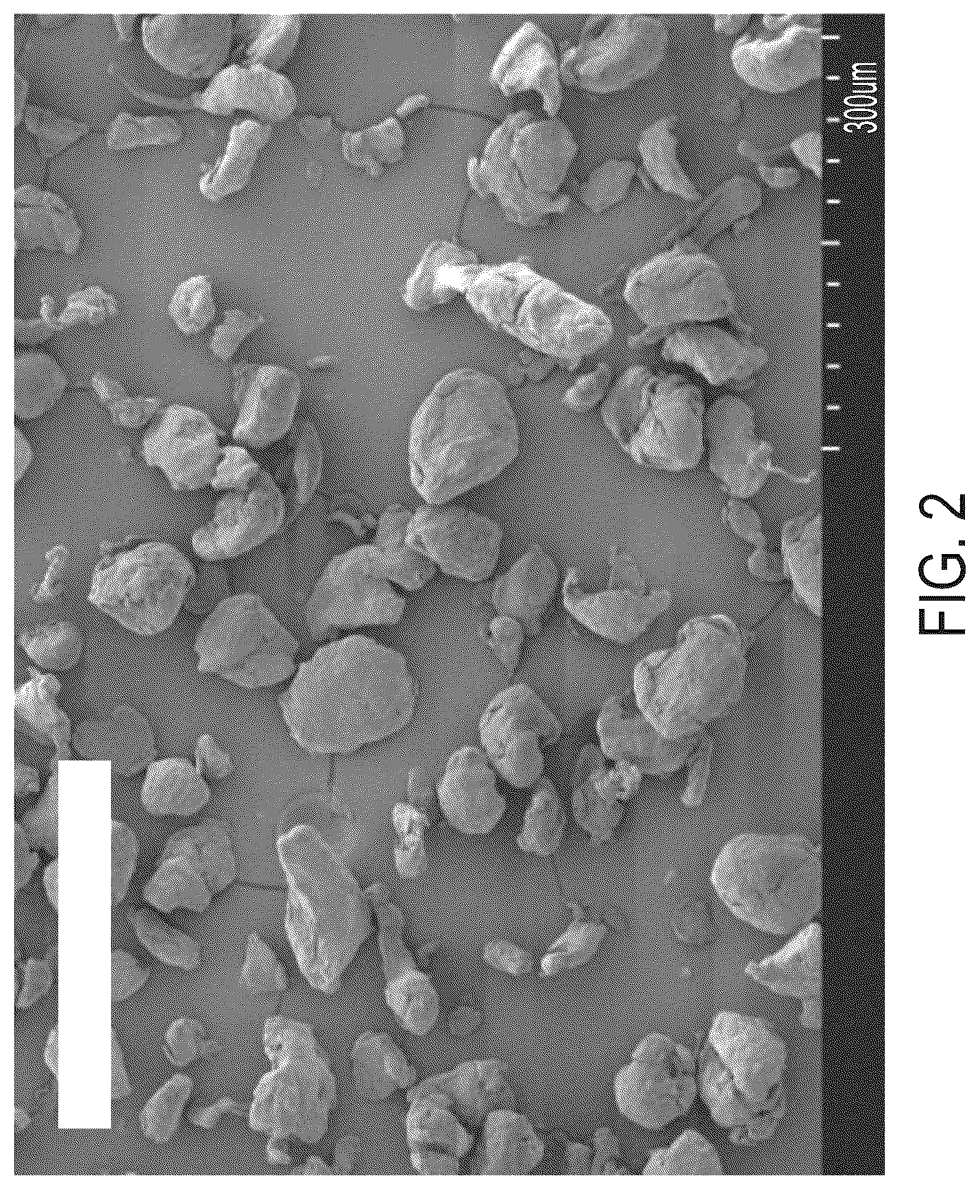 Patent US12617950 Figure 2 – Polymer particles comprising lignin and related additive manufacturing methods