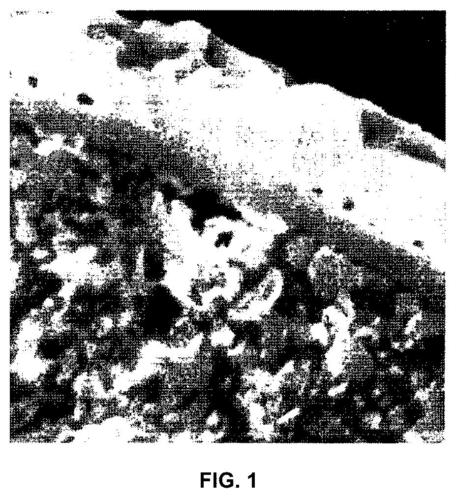 Patent US12617991 Figure 1 – Microcapsule for latent heat storage materials, method for producing same, powder containing microcapsules for latent heat storage materials, and heat storage device comprising said powder