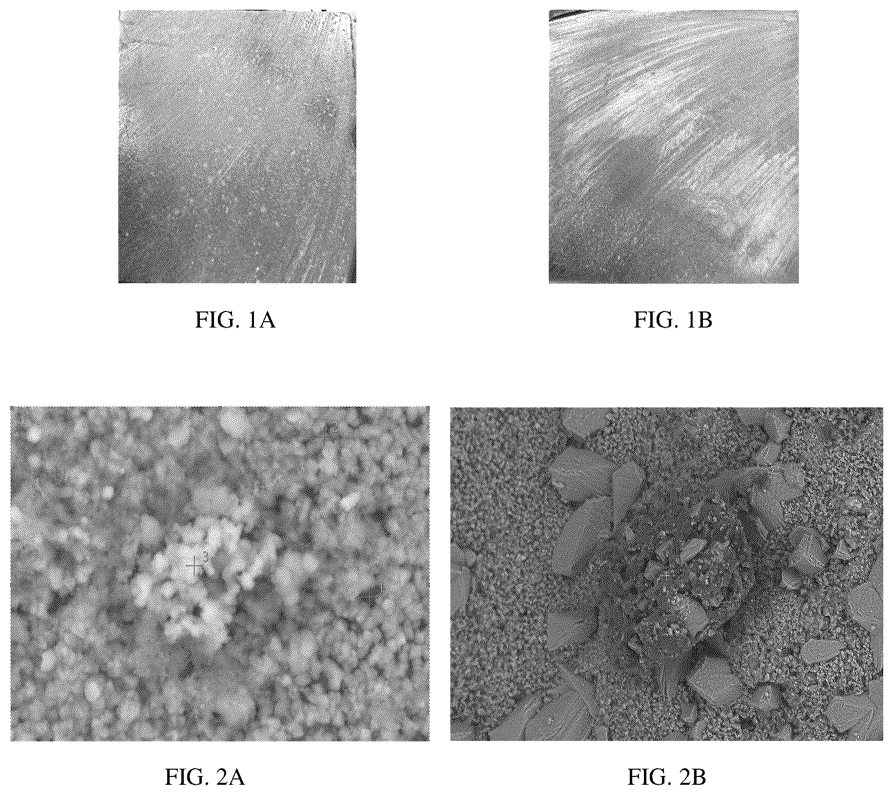 Patent US12617999 Figure 1 – Self-healing cement