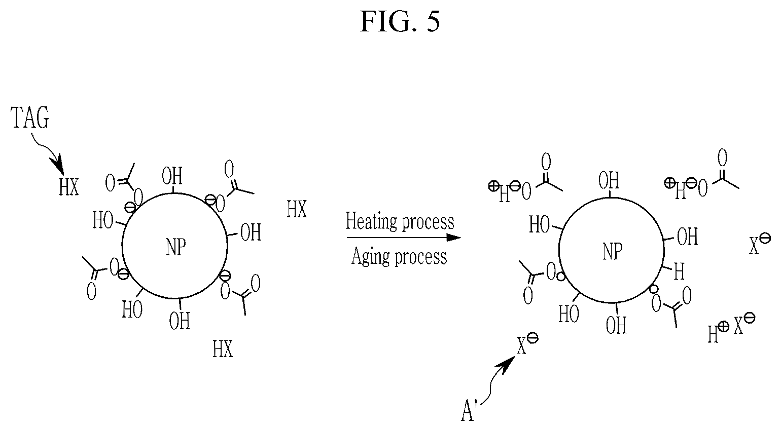 Patent US12618005 Figure 6 – Light emitting element and manufacturing method thereof
