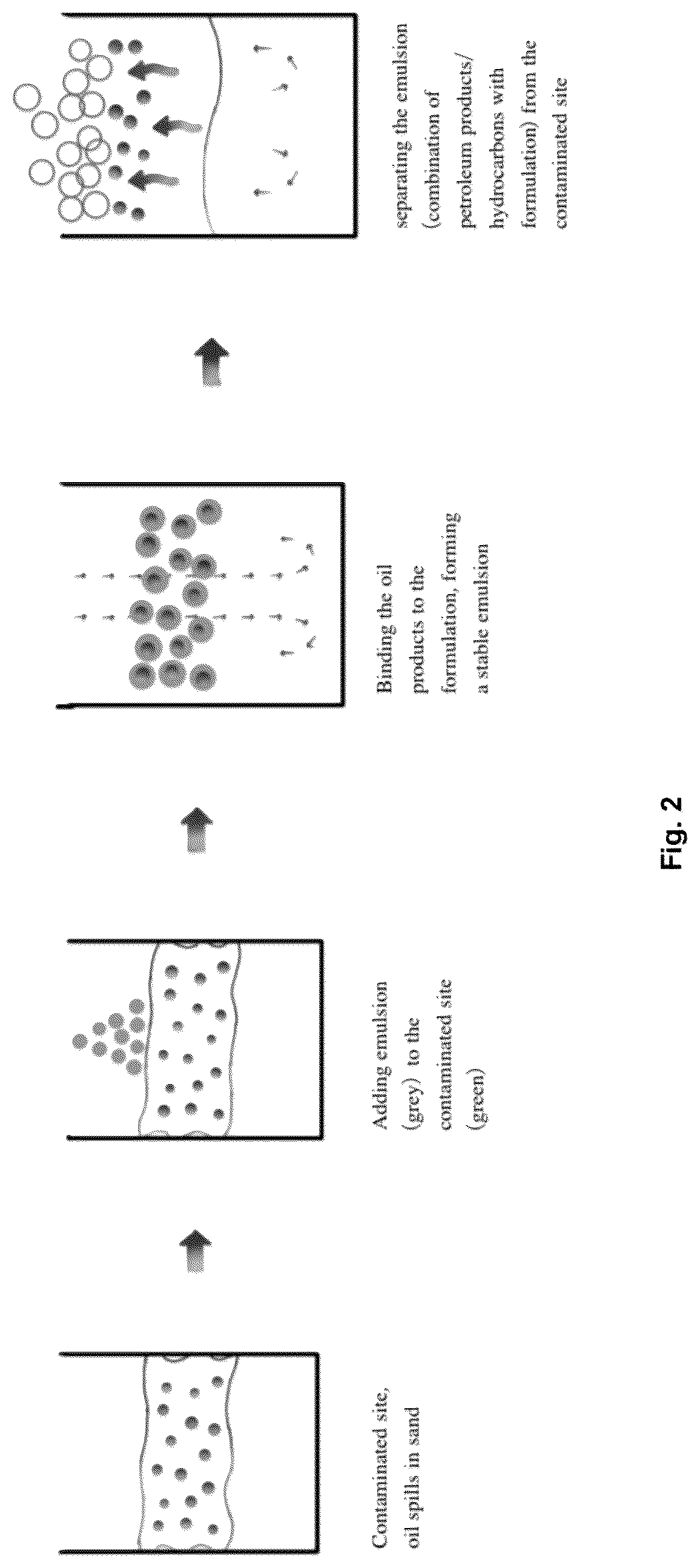 Patent US12618021 Figure 2 – Degreasing composition comprising an anionic surfactant mixture