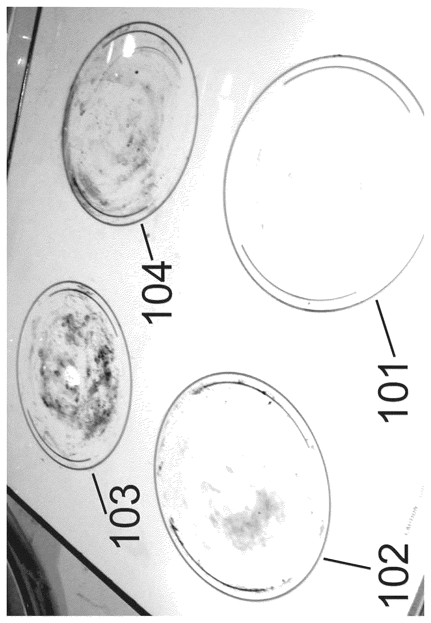 Patent US12618025 Figure 1 – Chemical product for rapid removal of food burned on to the surfaces of cooktops