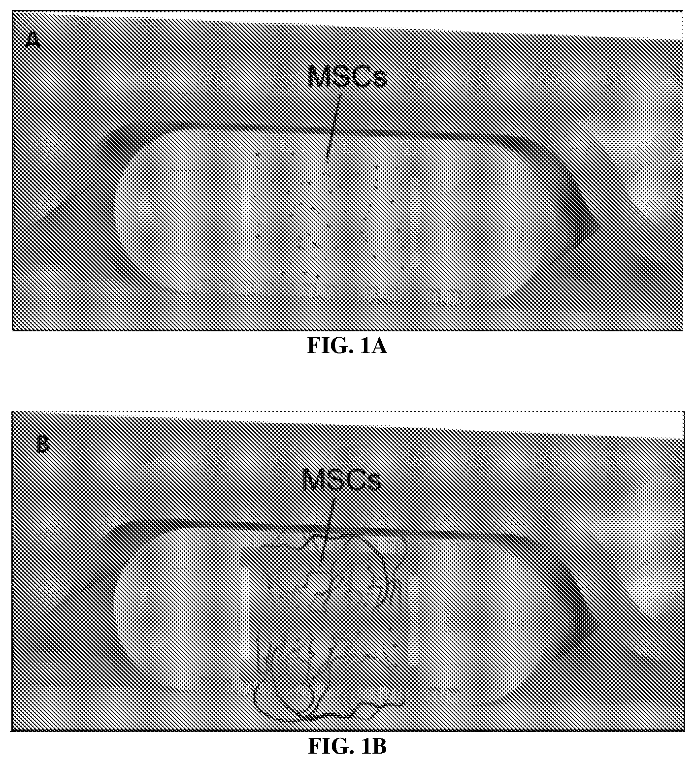 Patent US12618031 Figure 1 – Delivery devices
