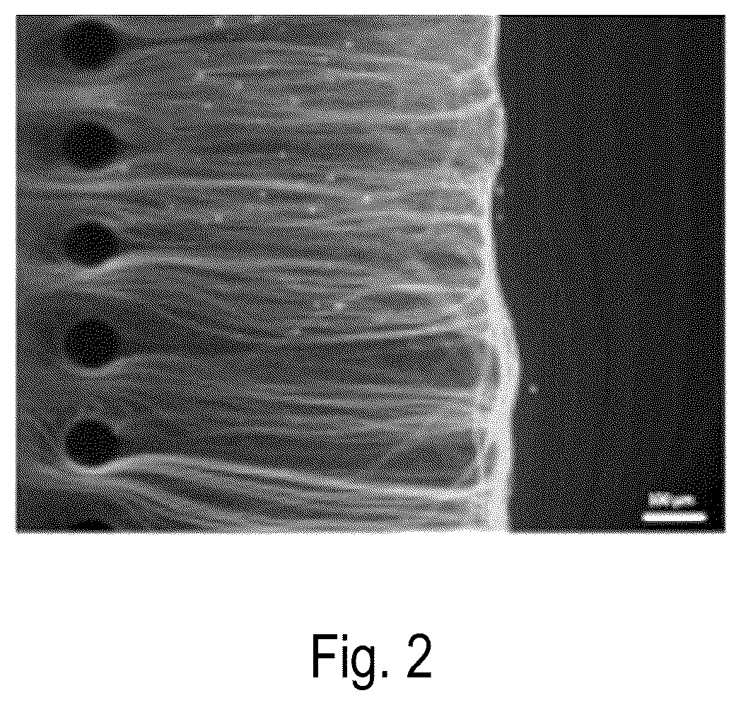 Patent US12618035 Figure 2 – Microfluidic device