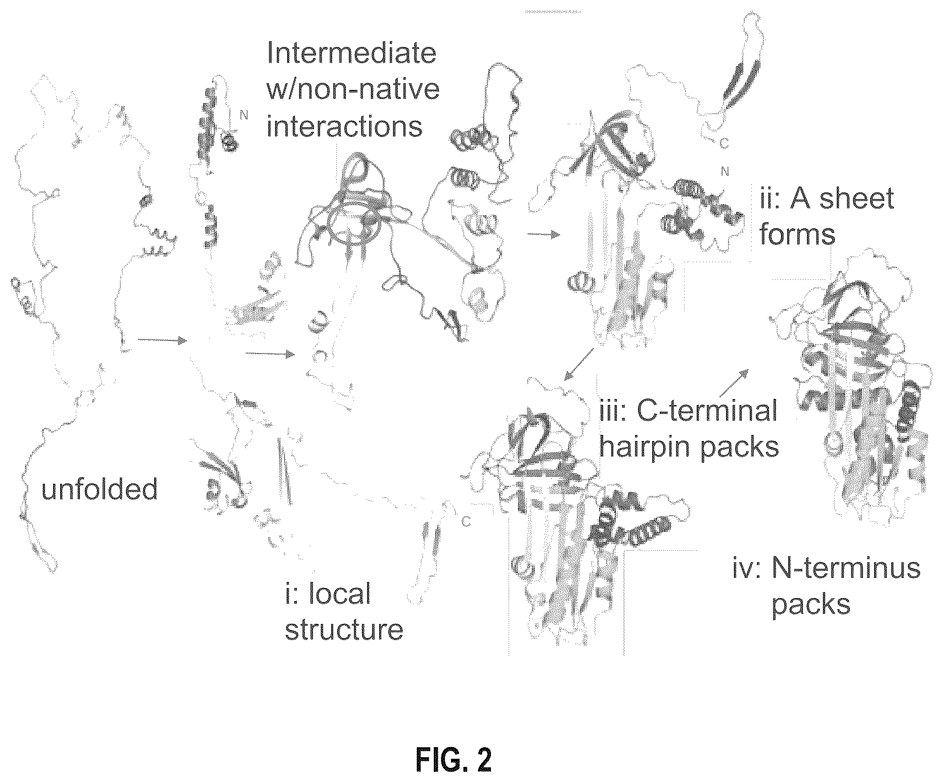 Patent US12618038 Figure 2 – Device and method for measuring in-cell protein folding