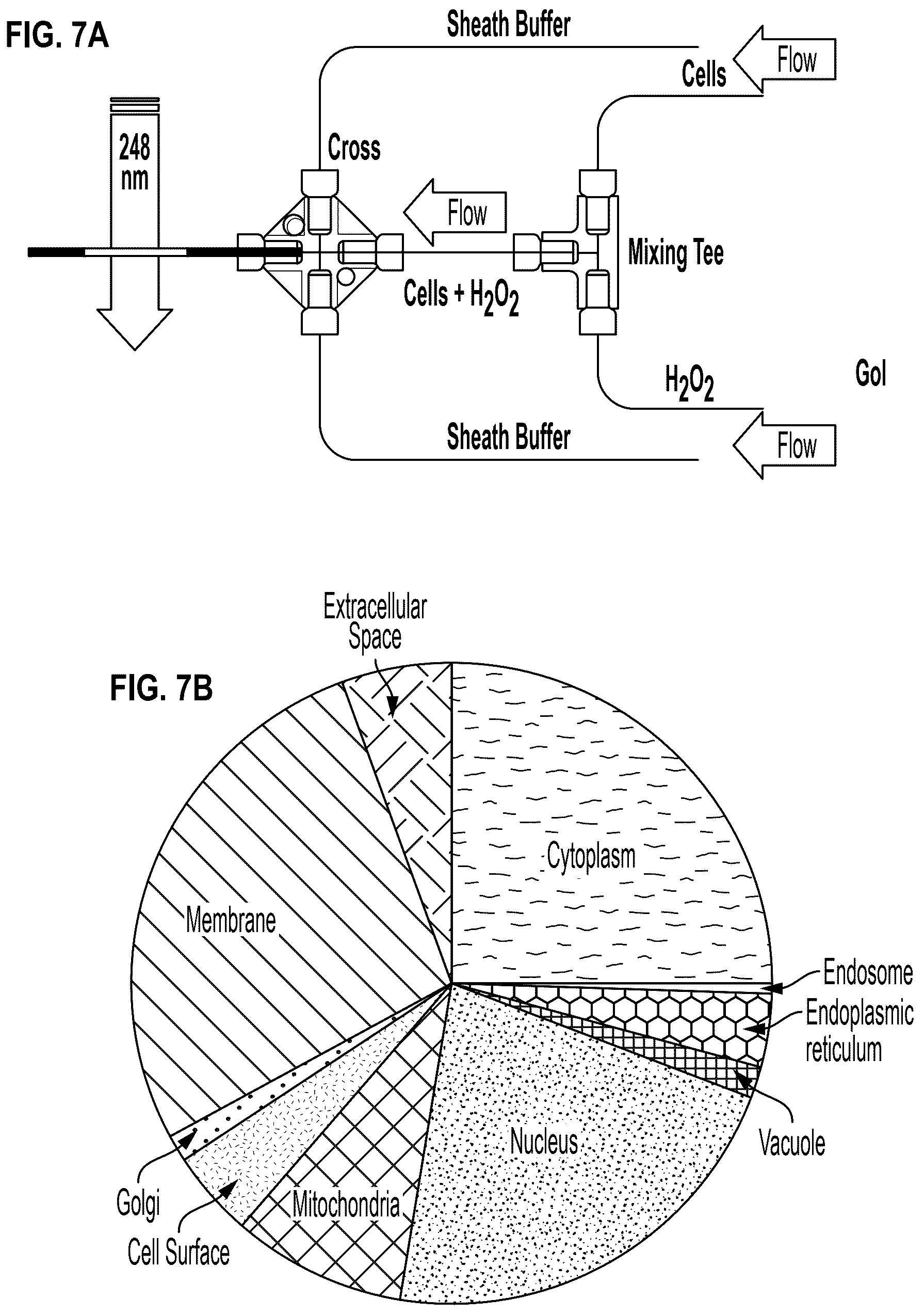 Patent US12618038 Figure 11 – Device and method for measuring in-cell protein folding