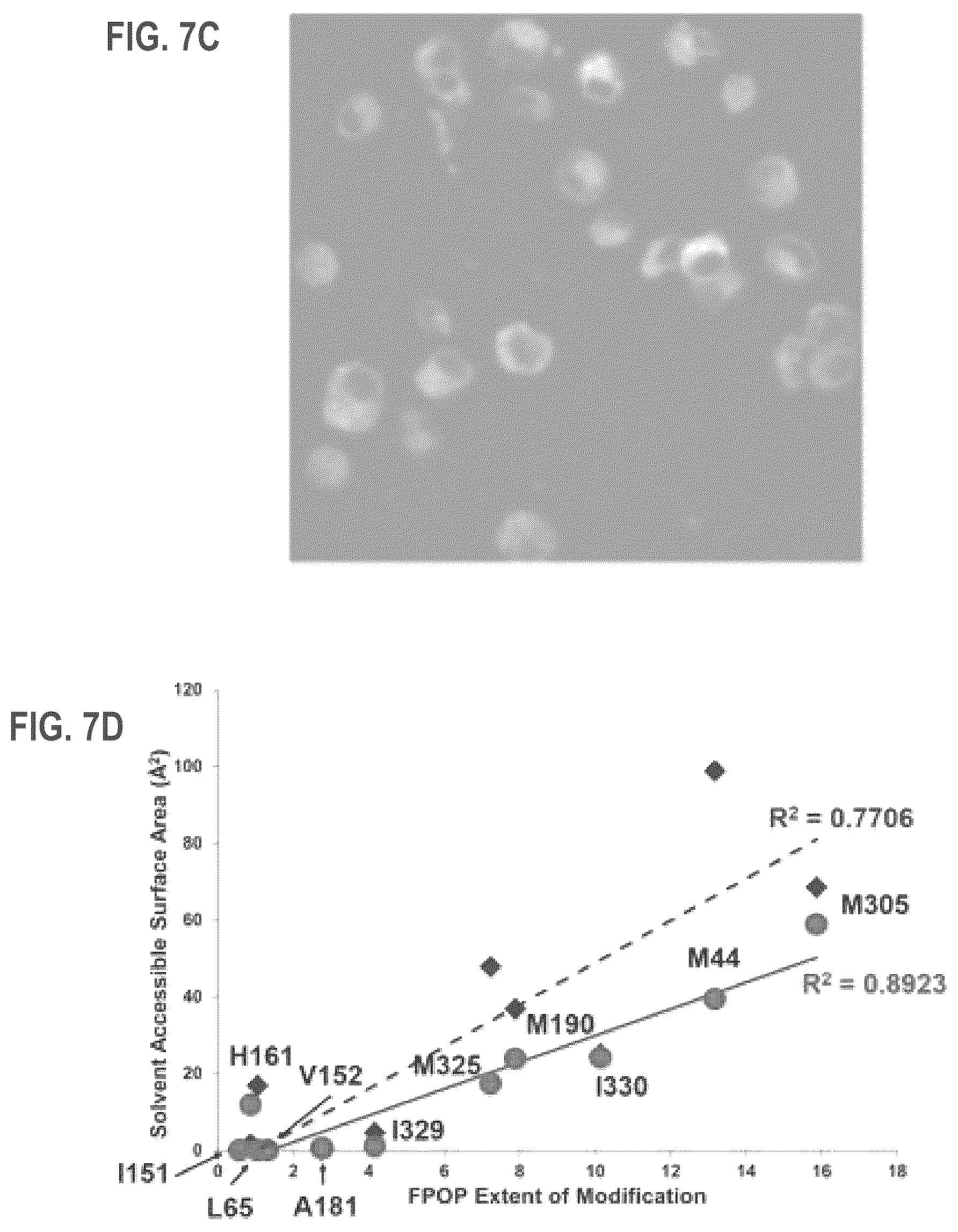 Patent US12618038 Figure 12 – Device and method for measuring in-cell protein folding