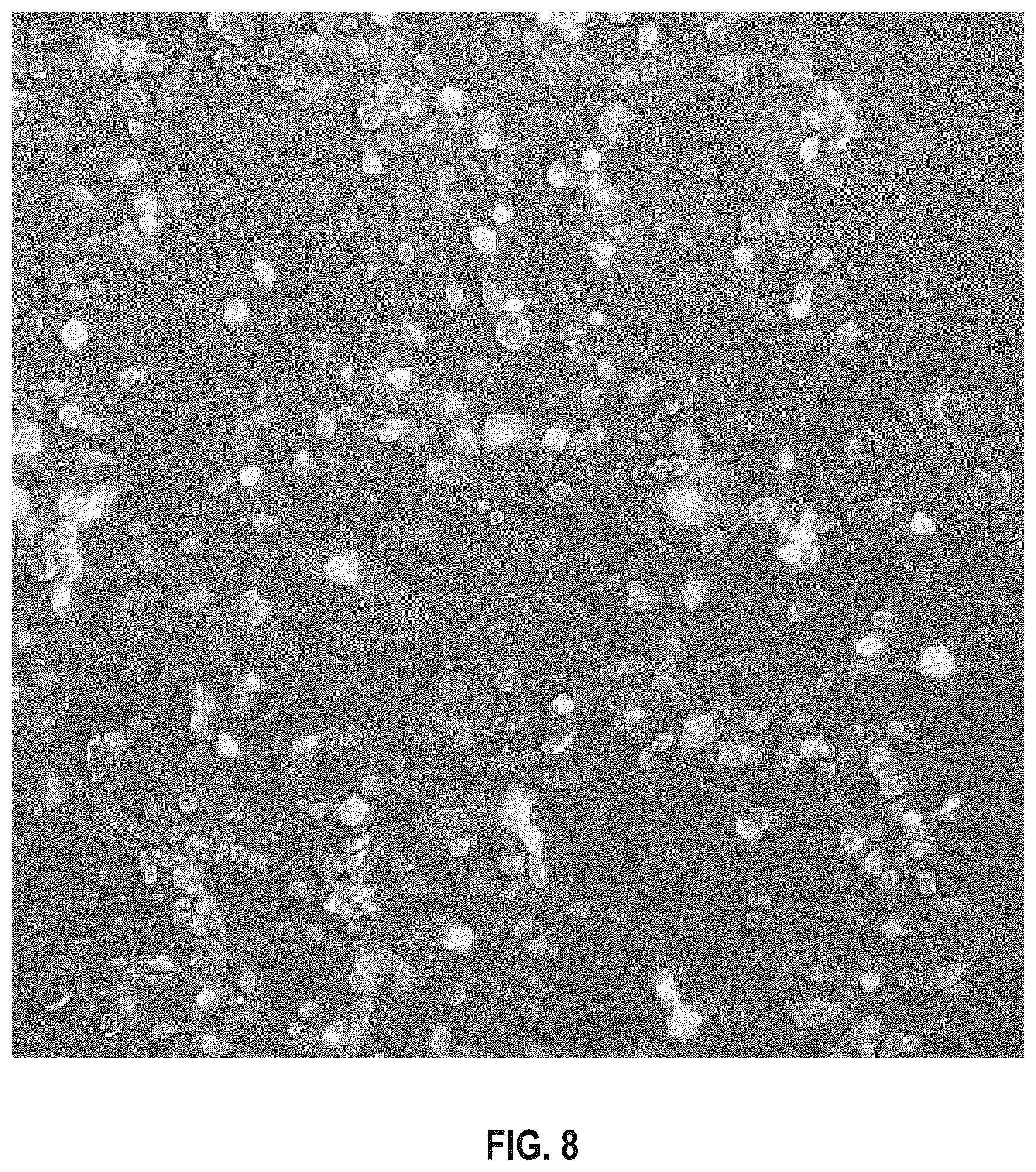 Patent US12618038 Figure 13 – Device and method for measuring in-cell protein folding