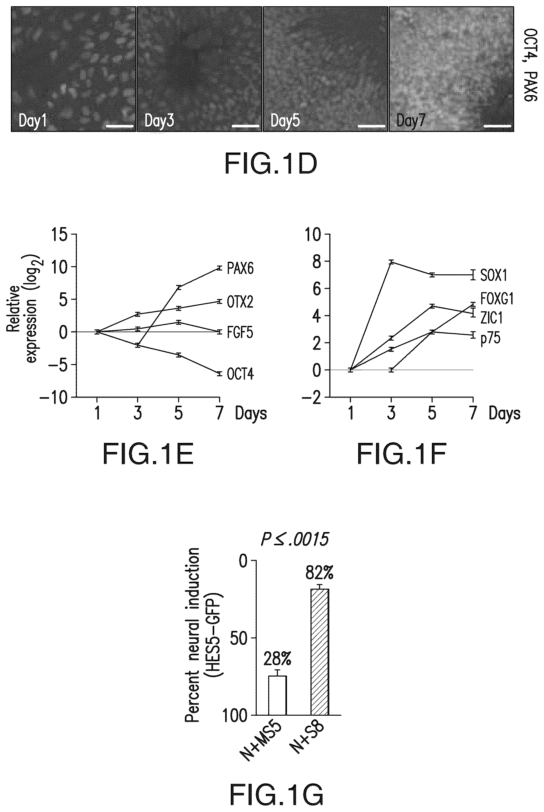 Patent US12618044 Figure 2 – Specification of functional cranial placode derivatives from human pluripotent stem cells