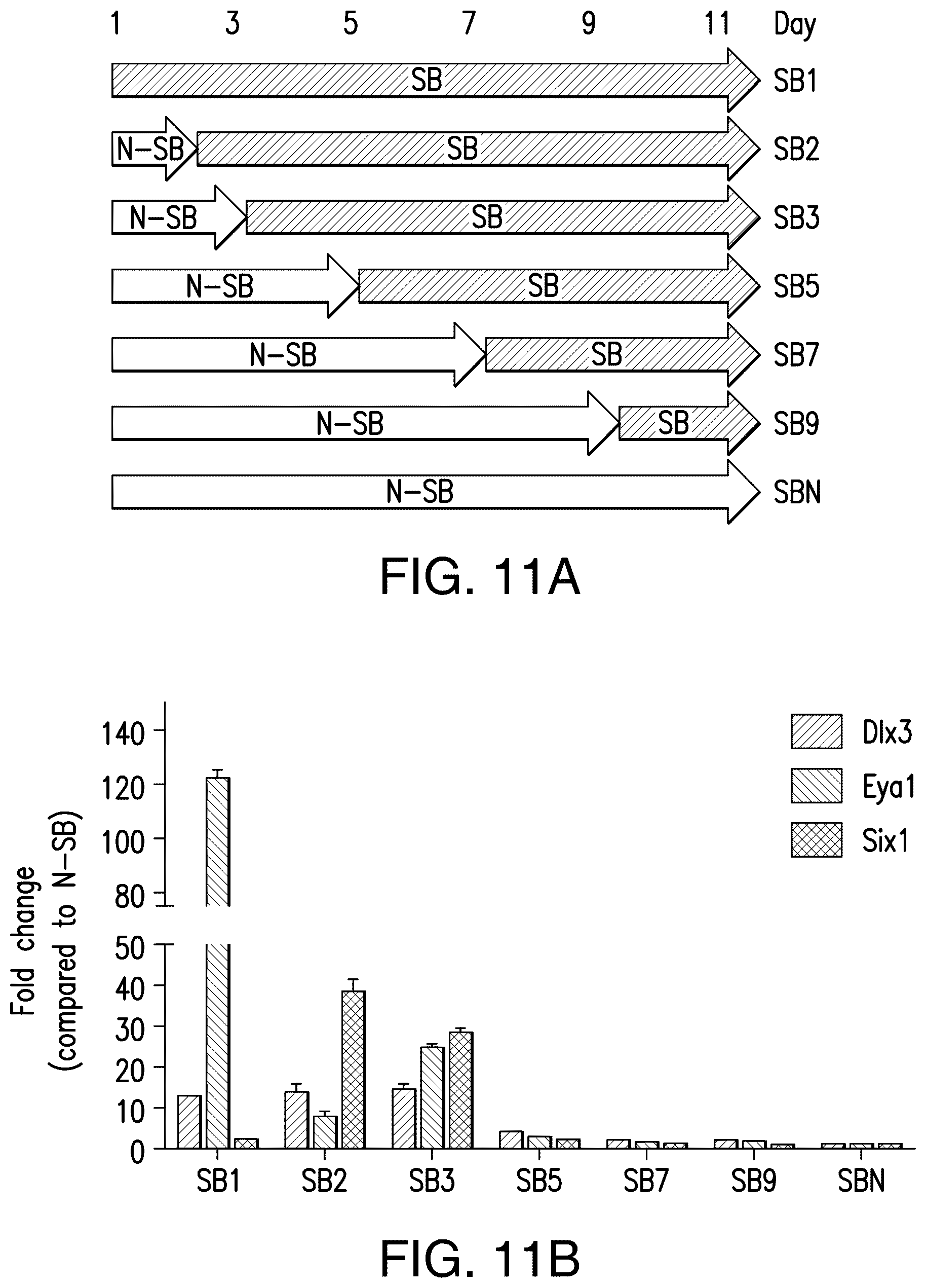 Patent US12618044 Figure 9 – Specification of functional cranial placode derivatives from human pluripotent stem cells