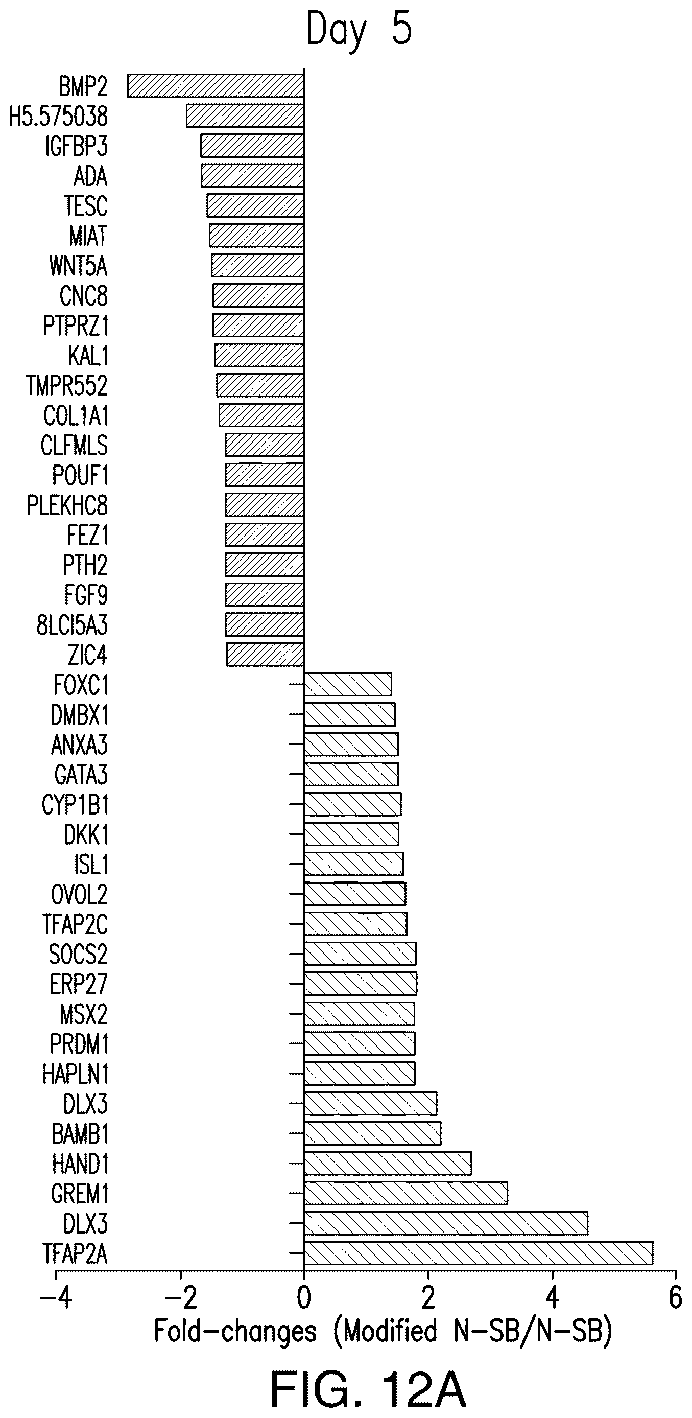 Patent US12618044 Figure 11 – Specification of functional cranial placode derivatives from human pluripotent stem cells