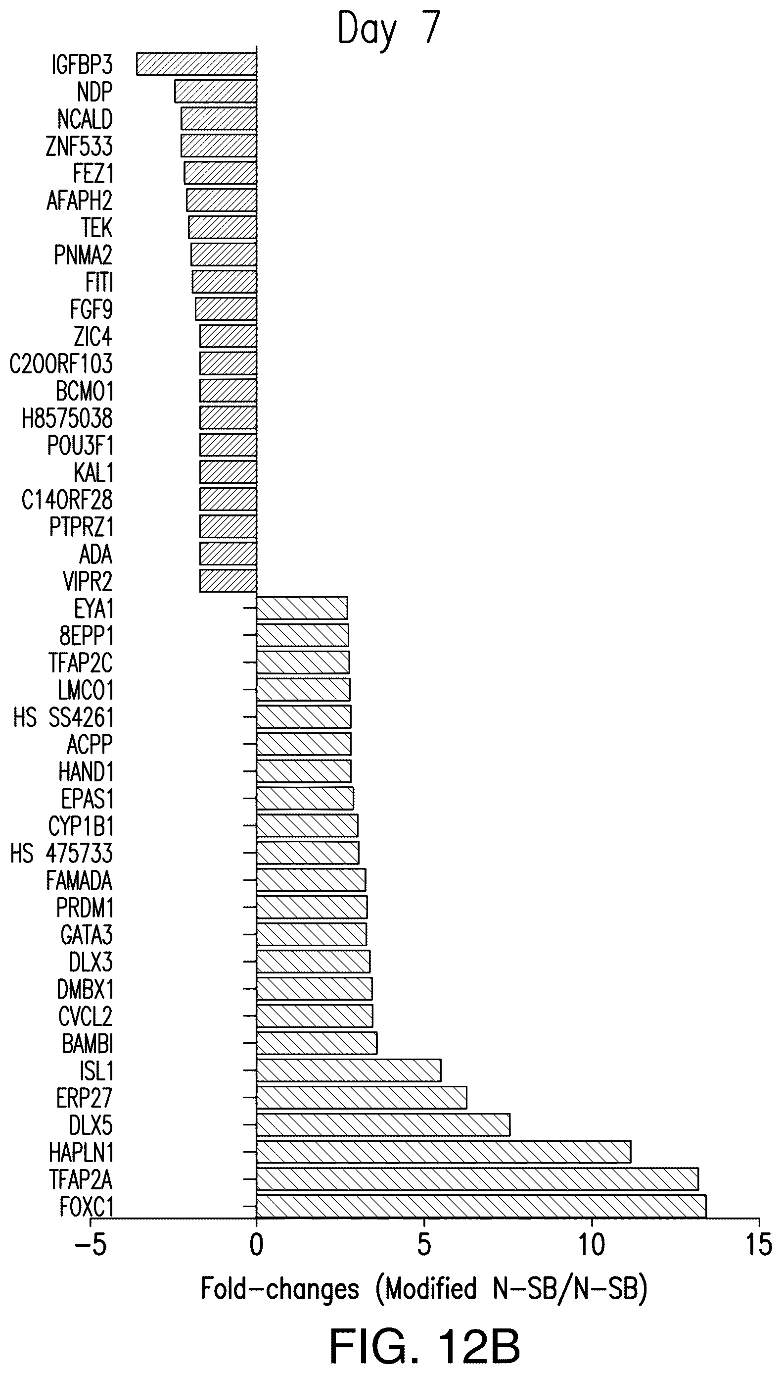 Patent US12618044 Figure 12 – Specification of functional cranial placode derivatives from human pluripotent stem cells