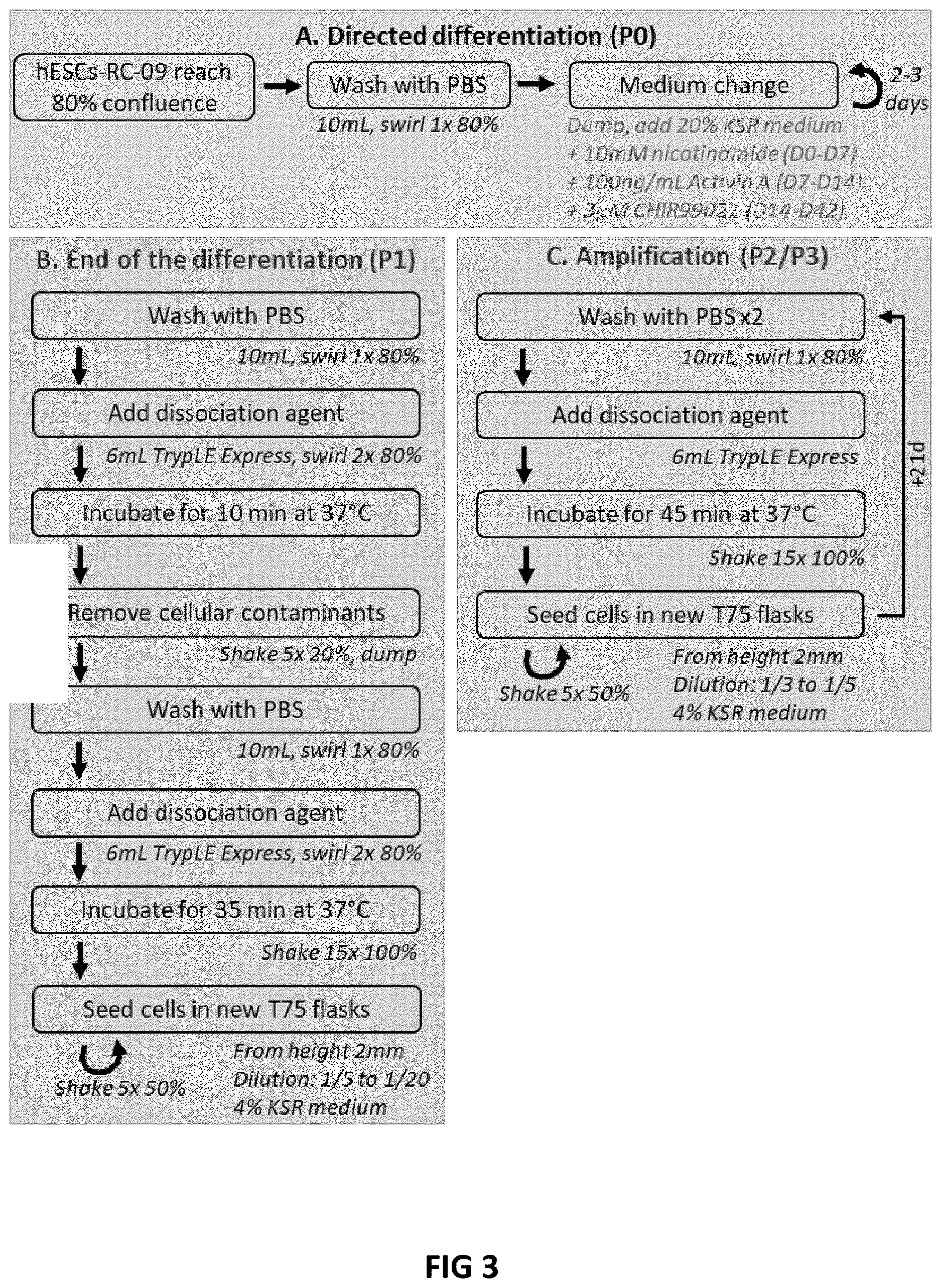 Patent US12618045 Figure 3 – Automated method for preparing retinal pigment epithelium cells