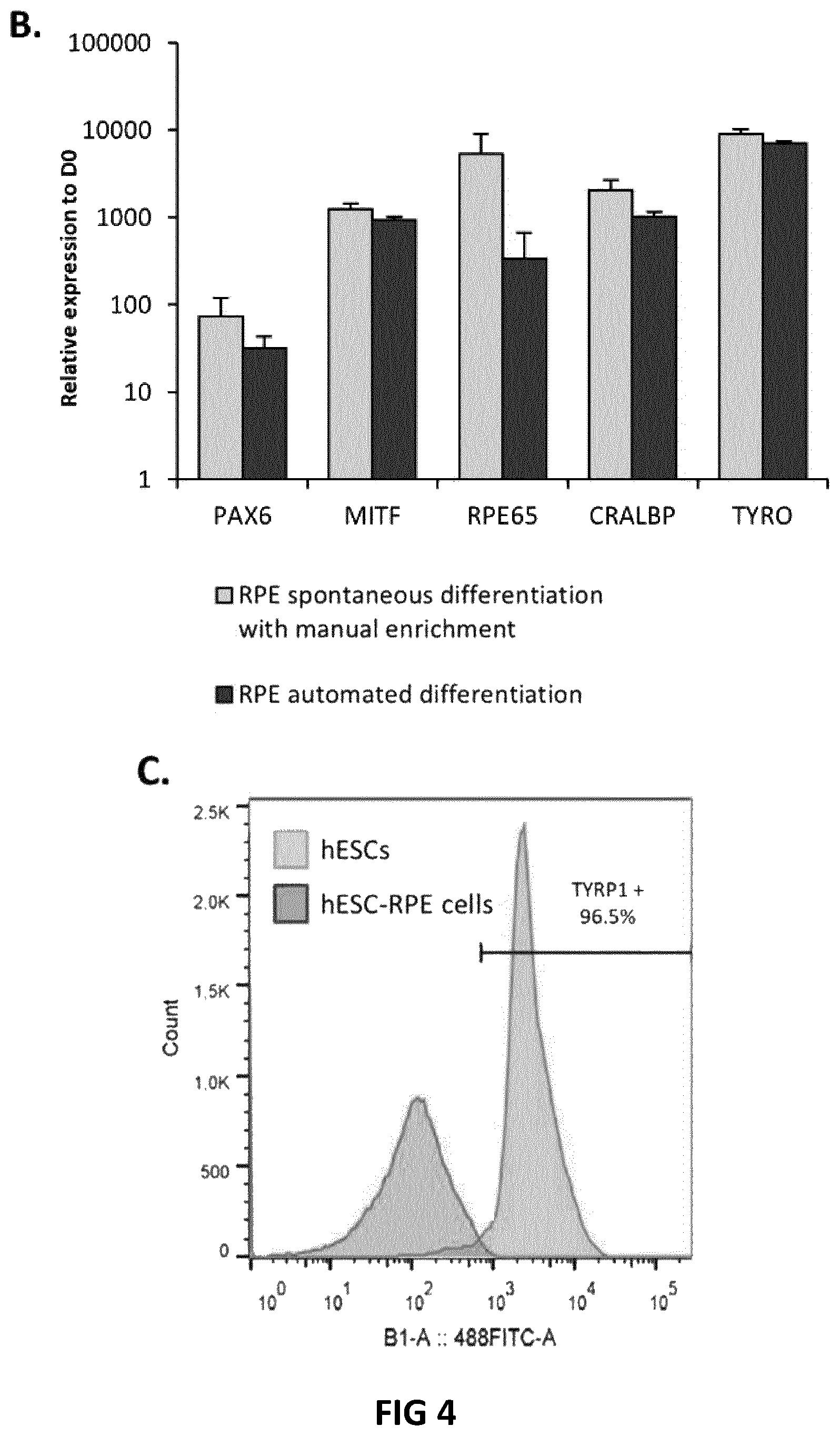 Patent US12618045 Figure 4 – Automated method for preparing retinal pigment epithelium cells