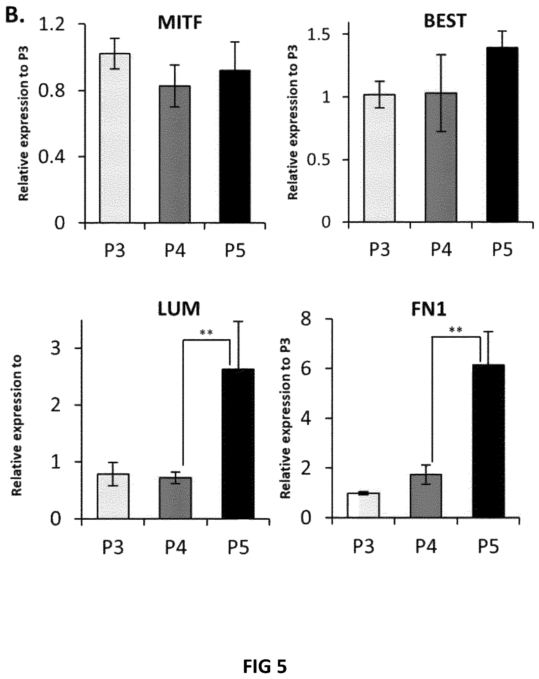 Patent US12618045 Figure 5 – Automated method for preparing retinal pigment epithelium cells