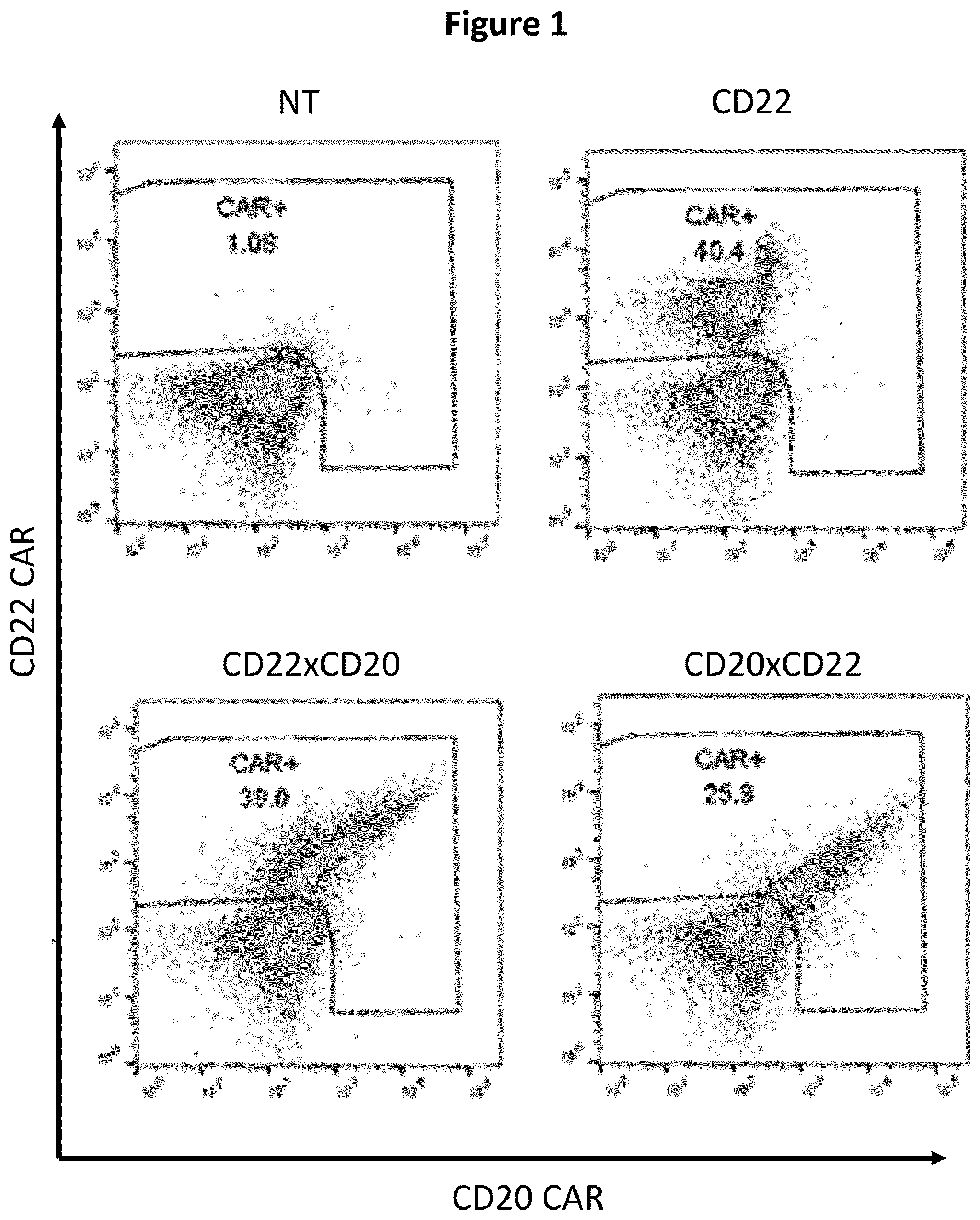 Patent US12618048 Figure 1 – Dual CAR-T cells