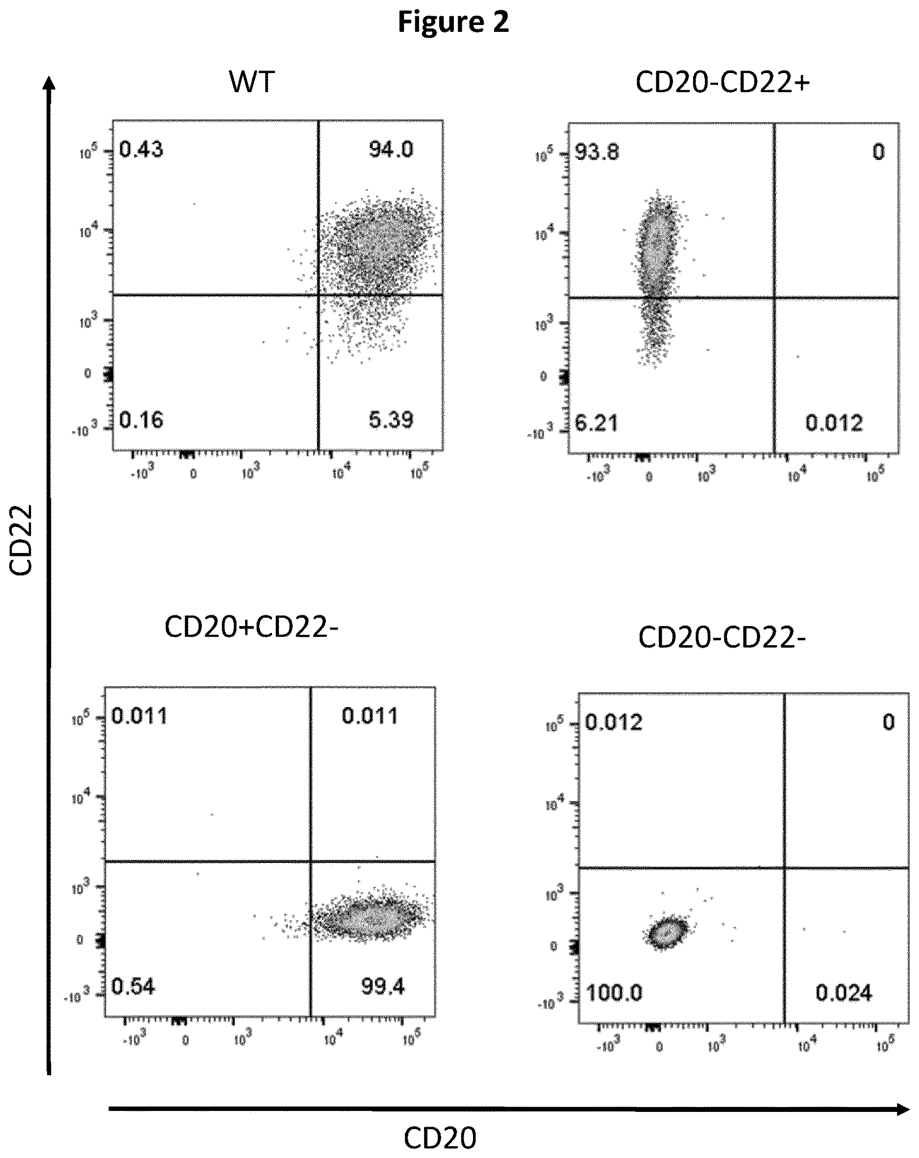 Patent US12618048 Figure 2 – Dual CAR-T cells