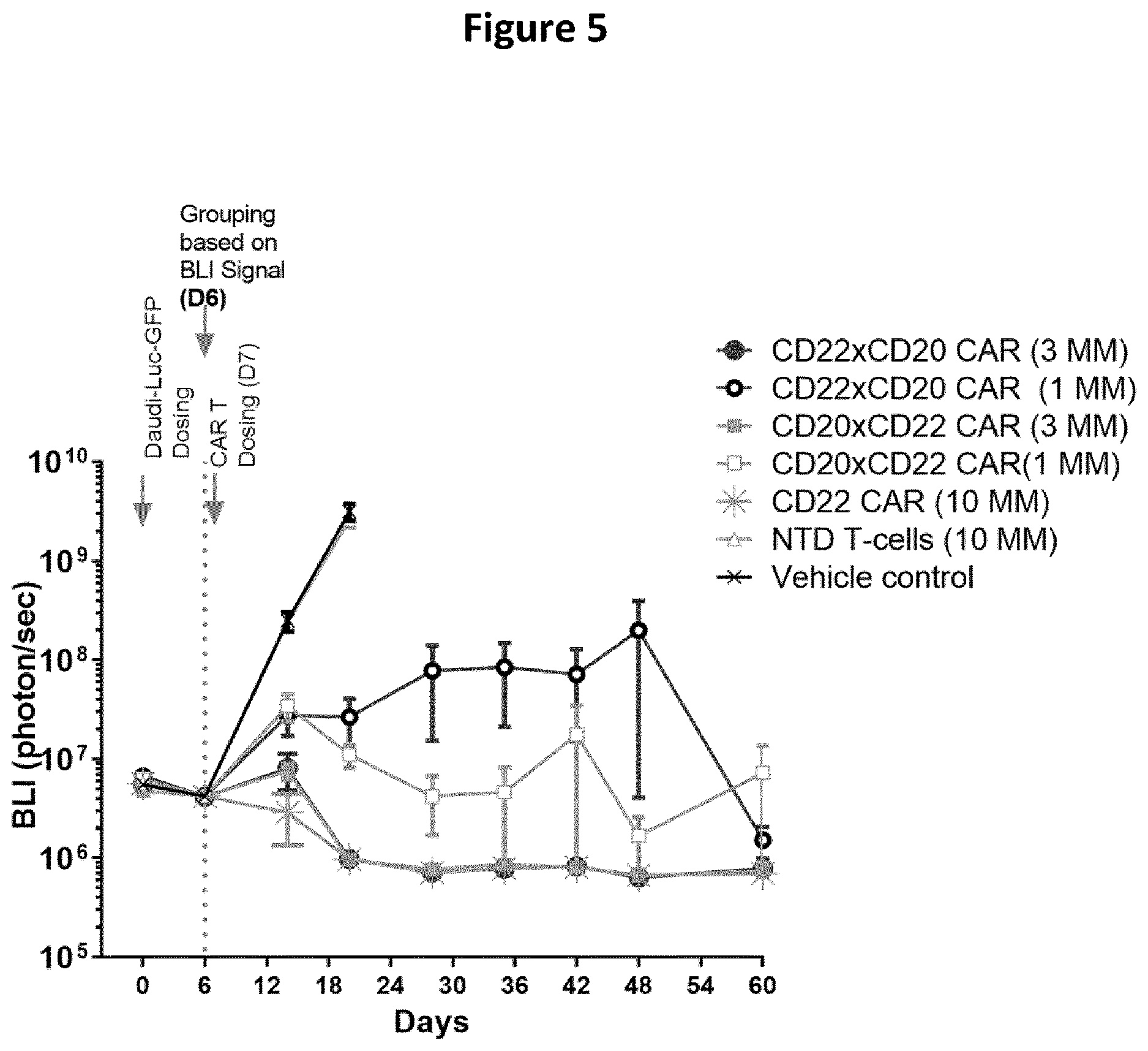 Patent US12618048 Figure 5 – Dual CAR-T cells