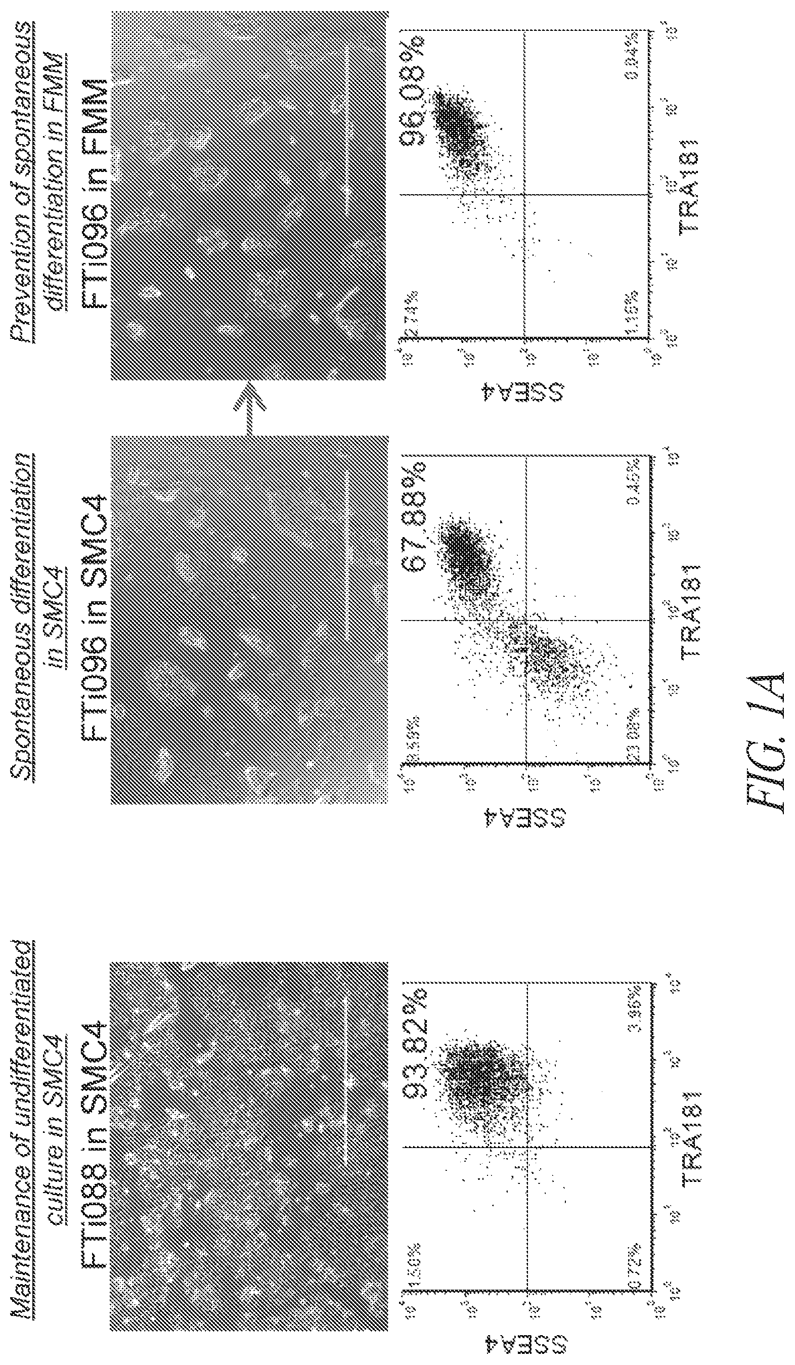 Patent US12618049 — Reprogramming methods and cell culture platforms — Figure 1