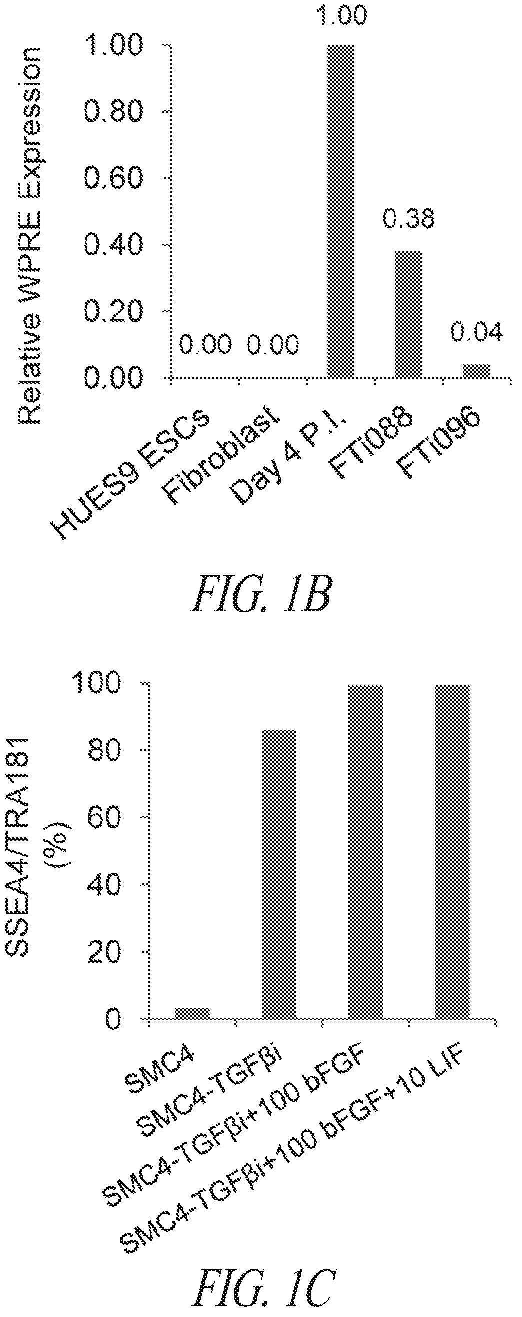 Patent US12618049 Figure 2 – Reprogramming methods and cell culture platforms