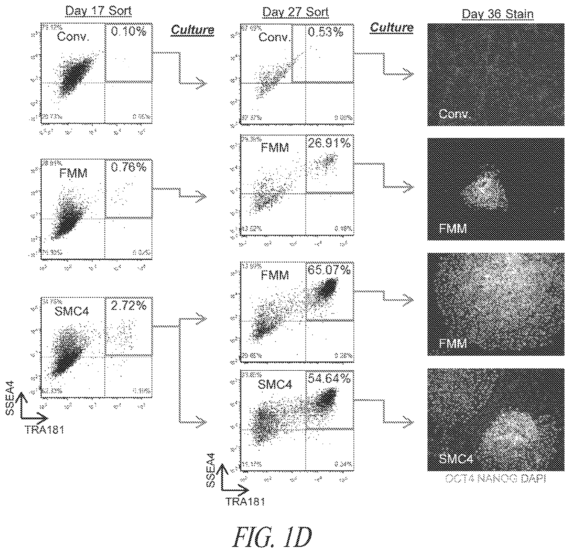 Patent US12618049 Figure 3 – Reprogramming methods and cell culture platforms