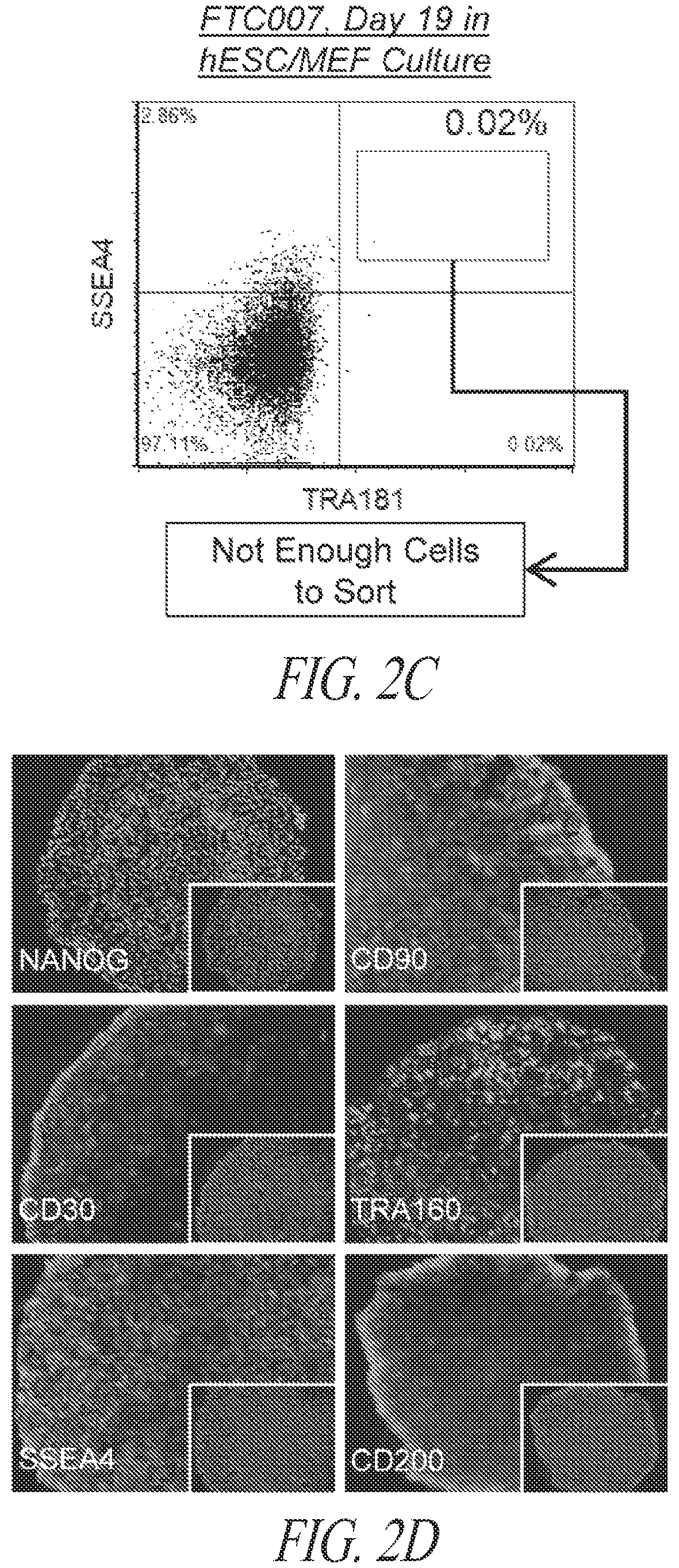 Patent US12618049 Figure 7 – Reprogramming methods and cell culture platforms