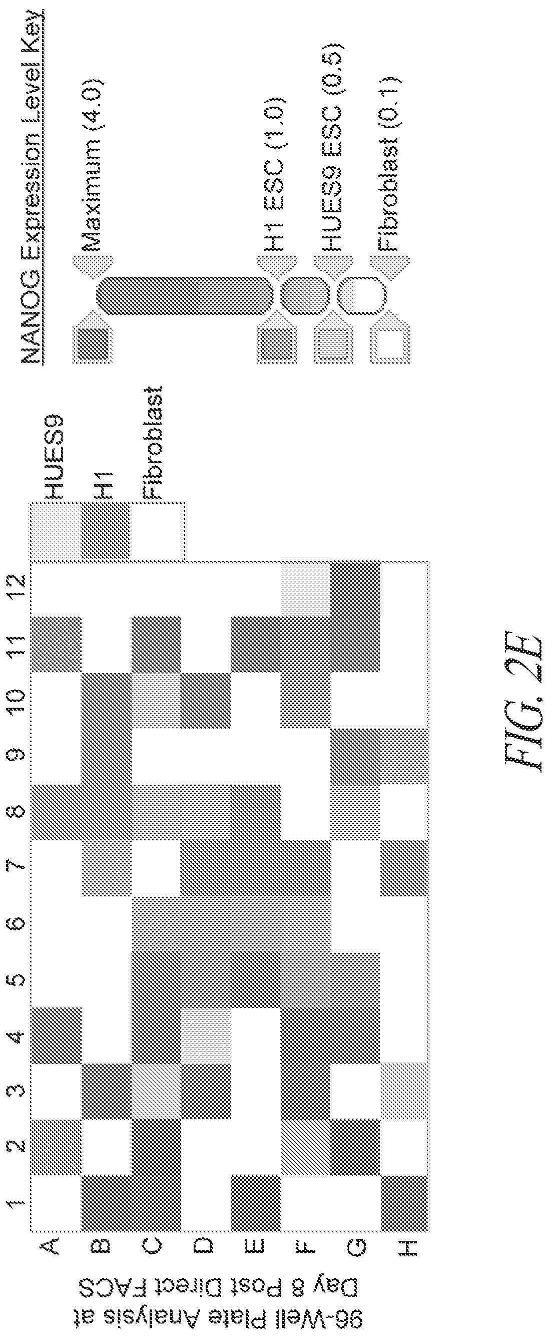 Patent US12618049 Figure 8 – Reprogramming methods and cell culture platforms
