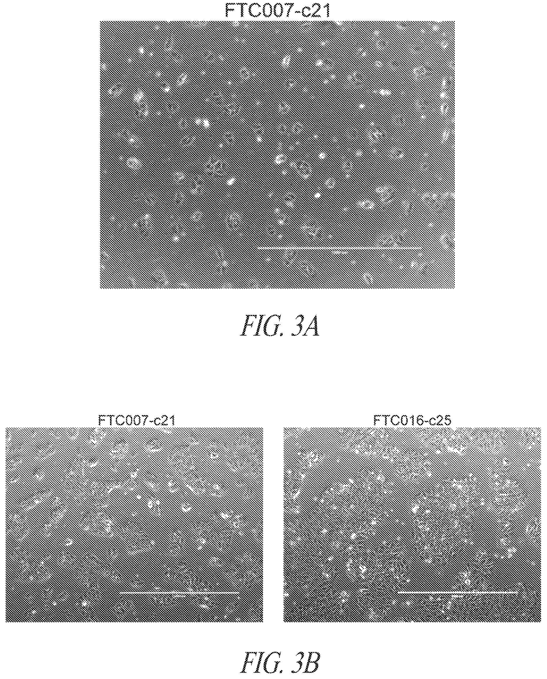 Patent US12618049 Figure 9 – Reprogramming methods and cell culture platforms