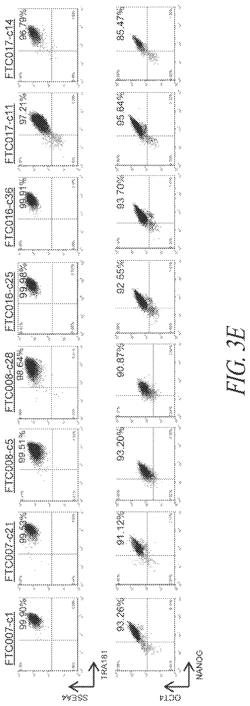 Patent US12618049 Figure 12 – Reprogramming methods and cell culture platforms