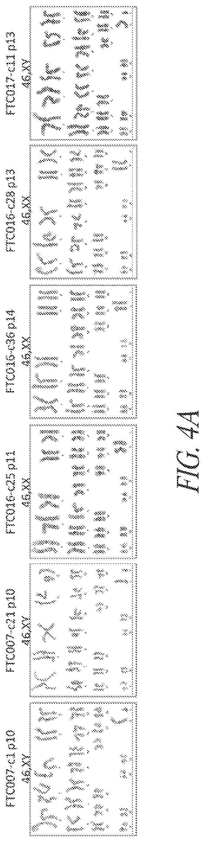 Patent US12618049 Figure 14 – Reprogramming methods and cell culture platforms