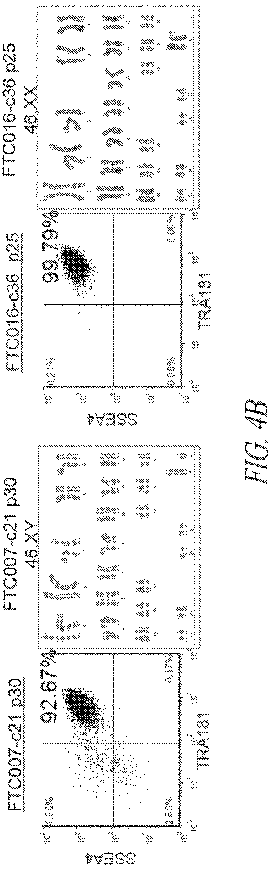 Patent US12618049 Figure 15 – Reprogramming methods and cell culture platforms